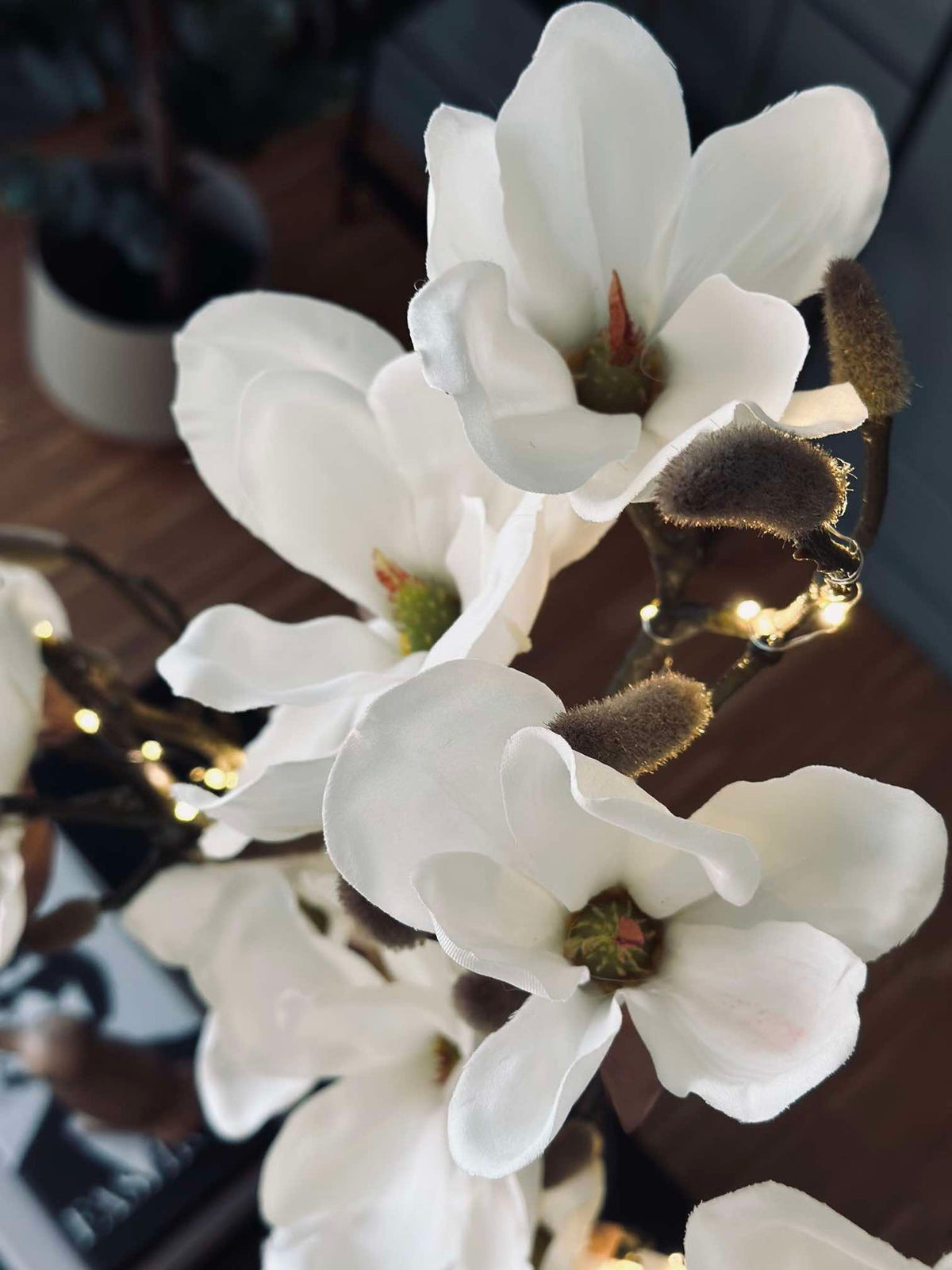 Magnoliagren med lys