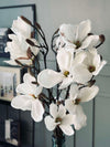 Magnoliagren - 92 cm