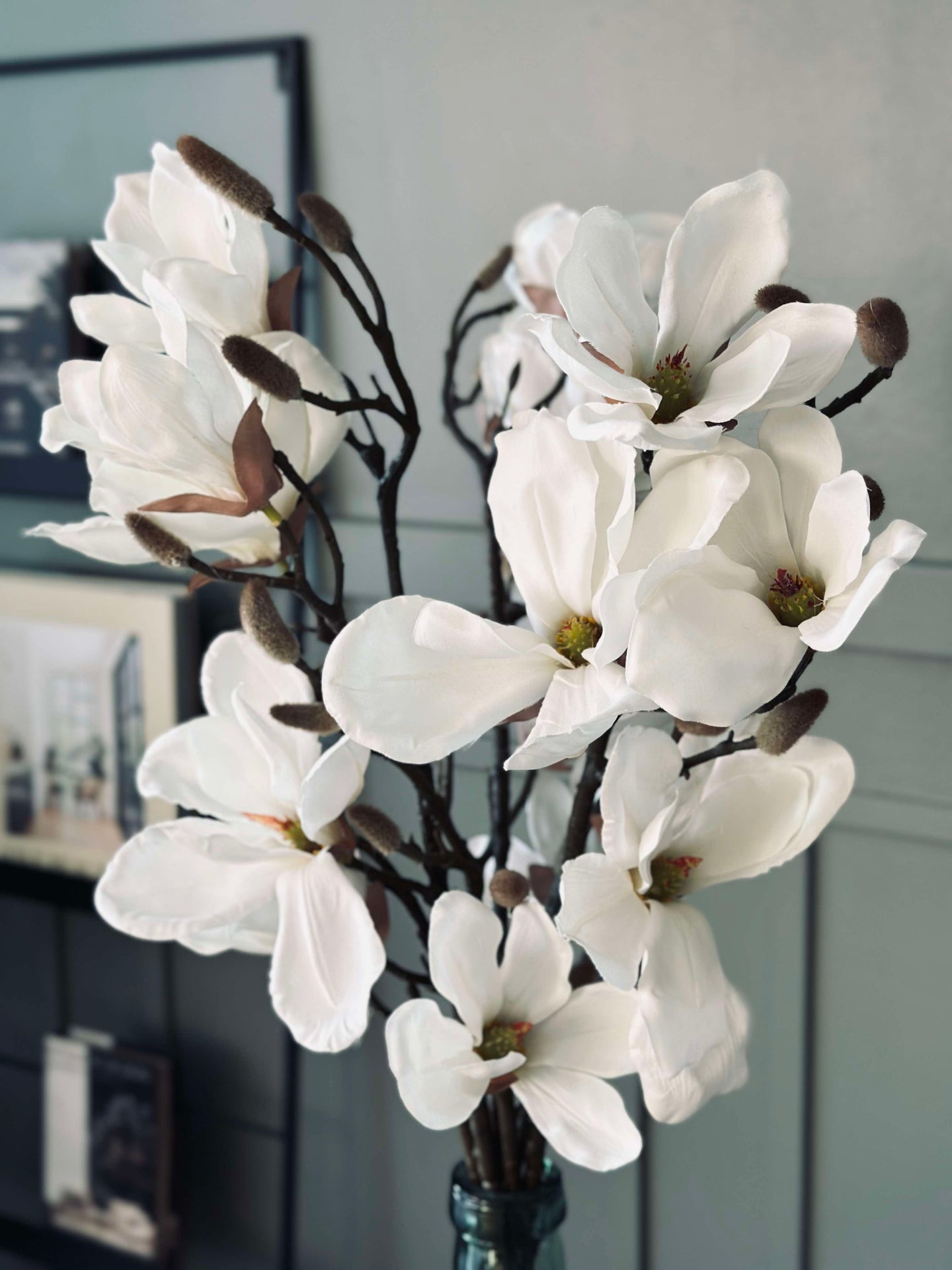 Magnoliagren - 92 cm