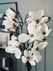 Magnoliagren - 92 cm