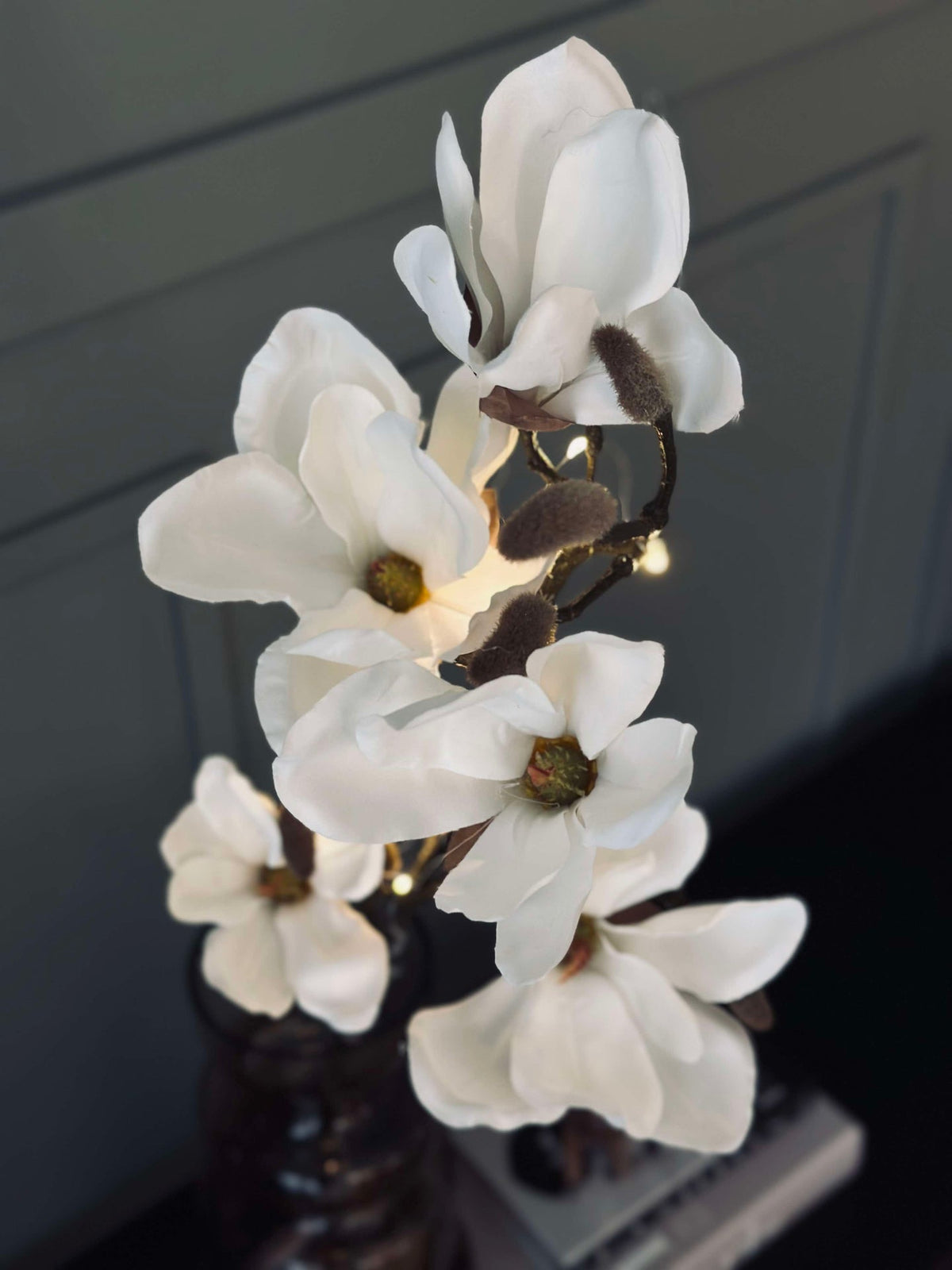 Magnoliagren med lys