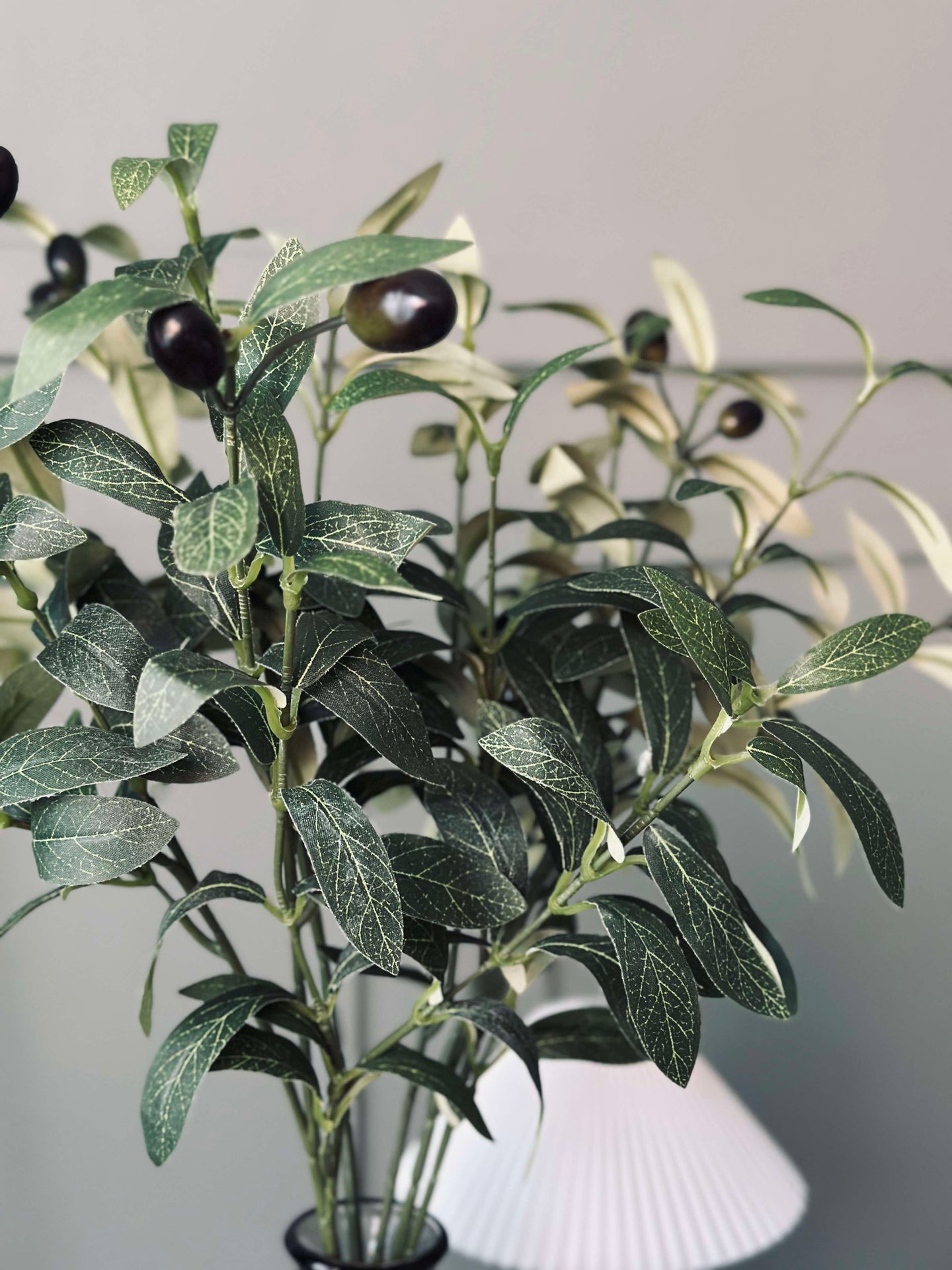 Olivengren 67 cm