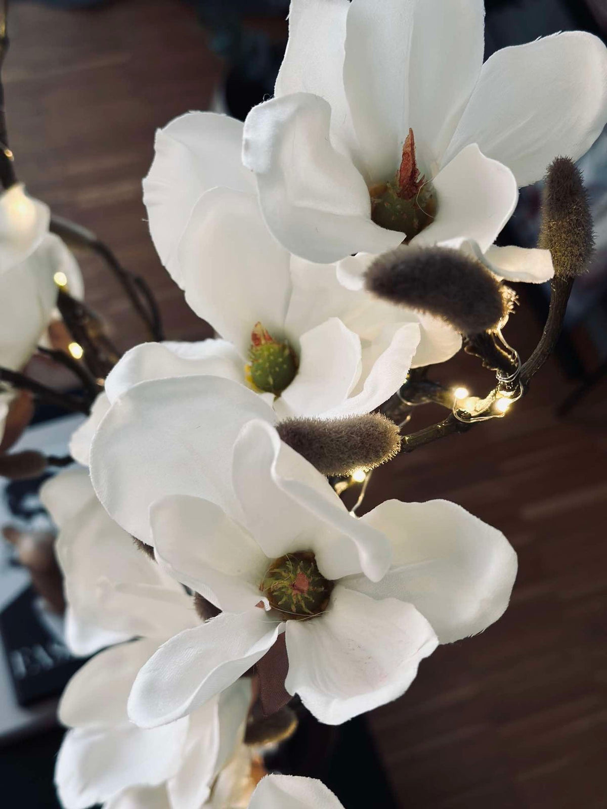 Magnoliagren med lys
