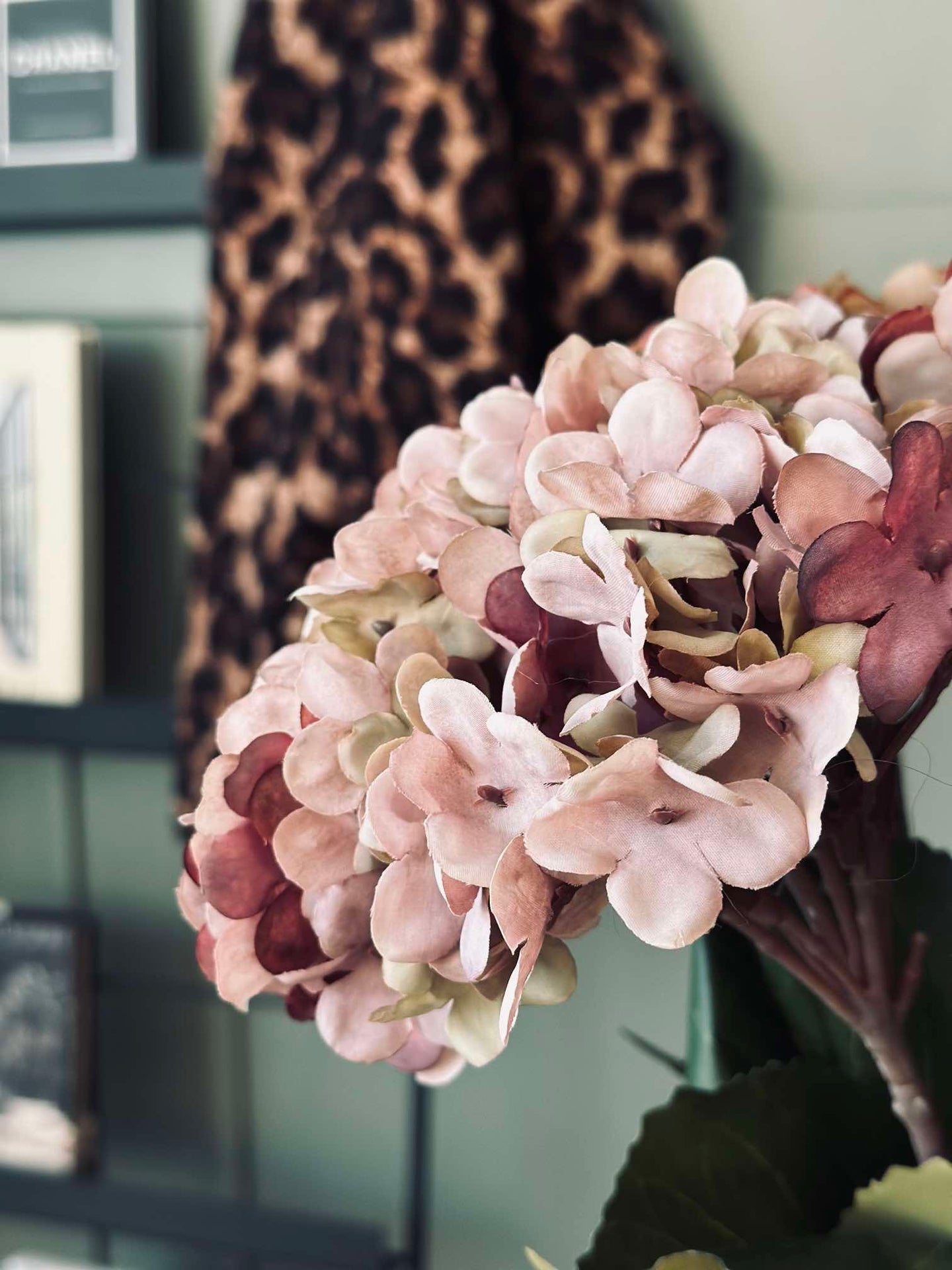 Hortensia Old Rose