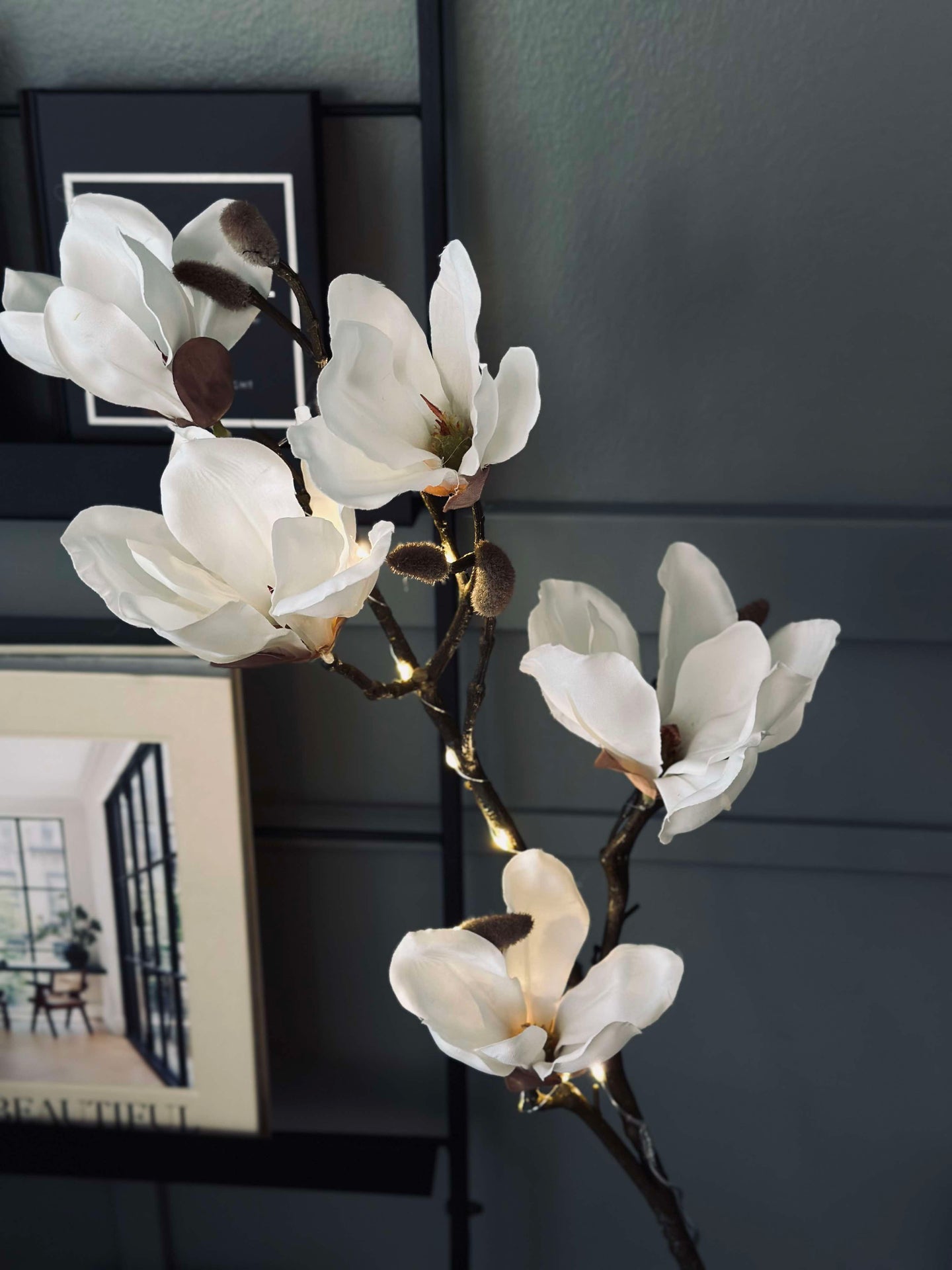 Magnoliagren med lys
