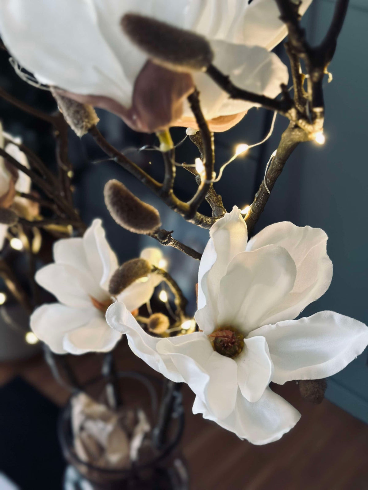 Magnoliagren med lys