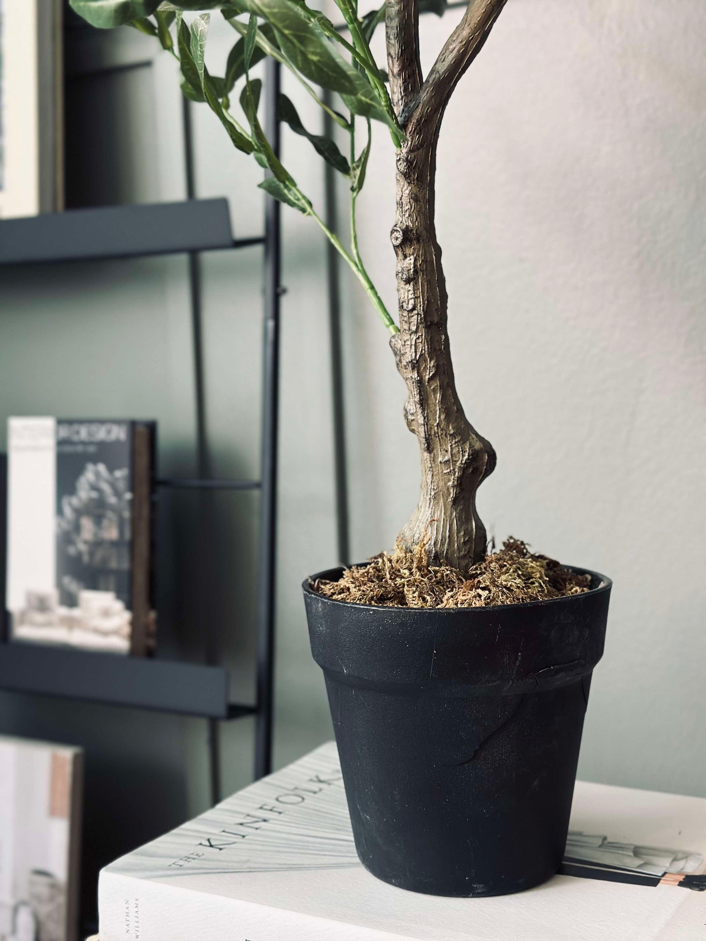 Oliventre 85 cm
