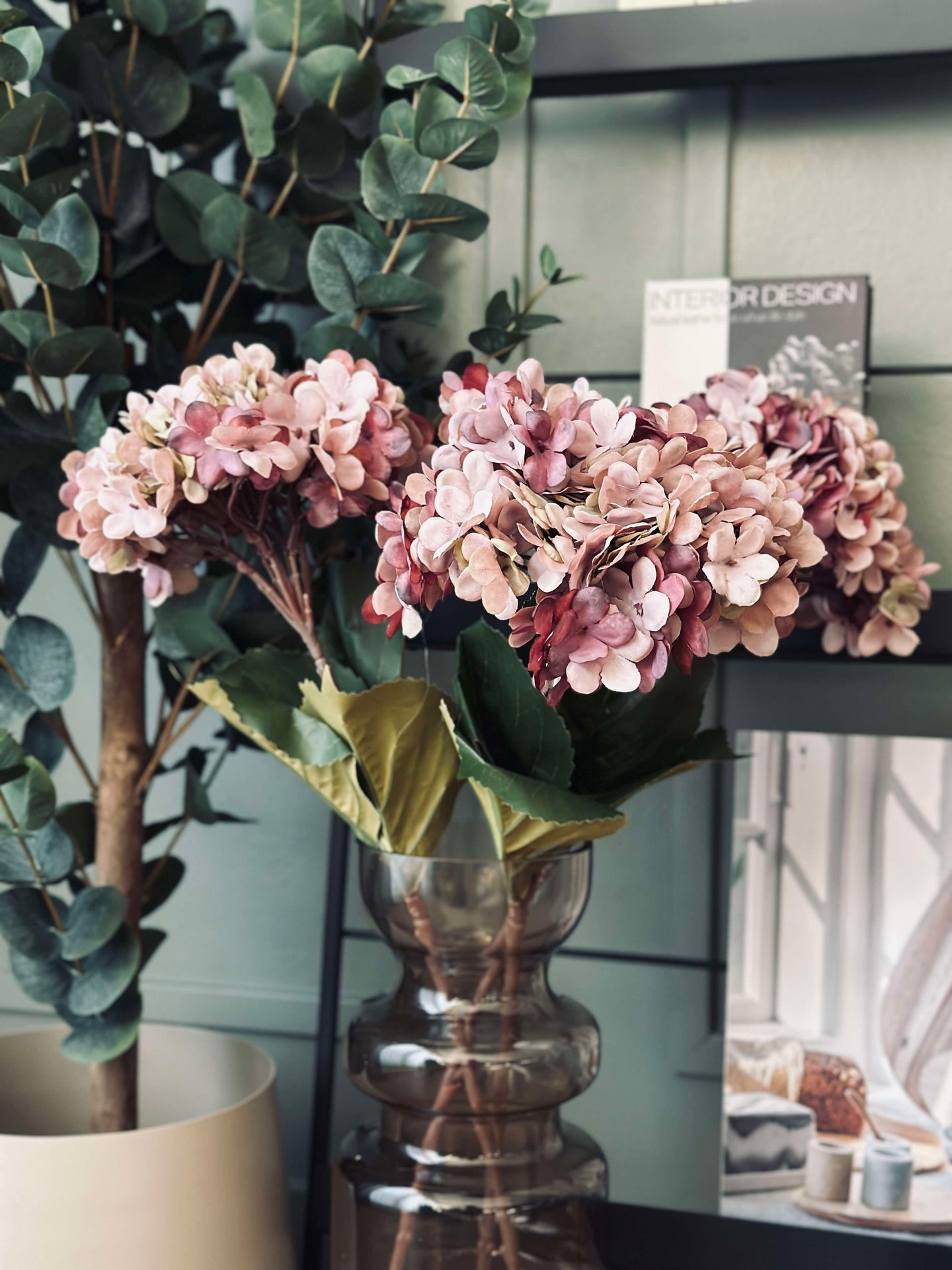 Hortensia Old Rose
