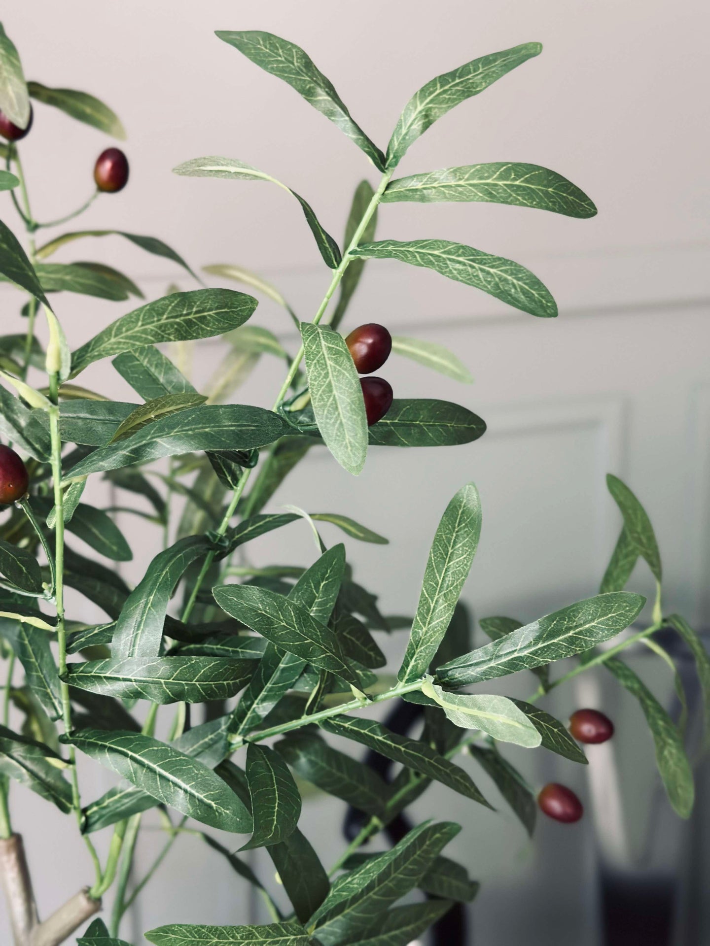 Oliventre 85 cm