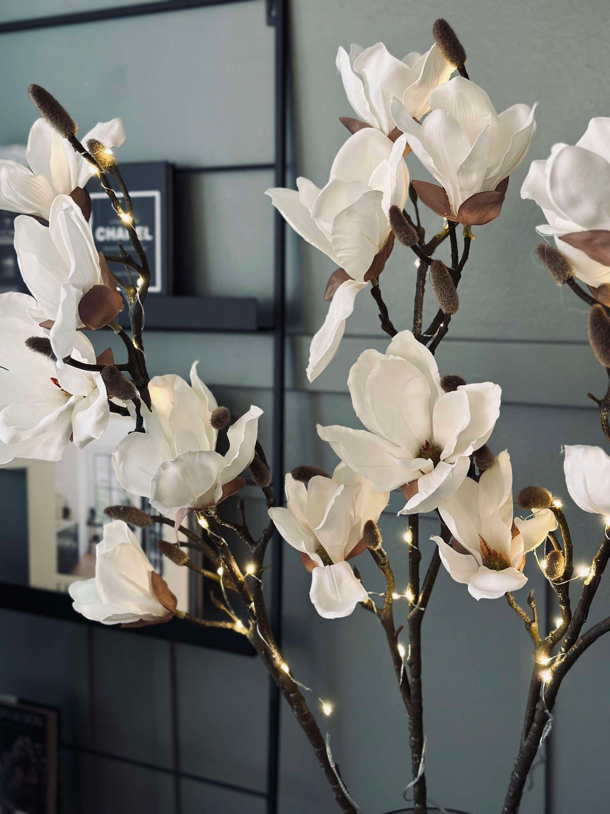 Magnoliagren med lys