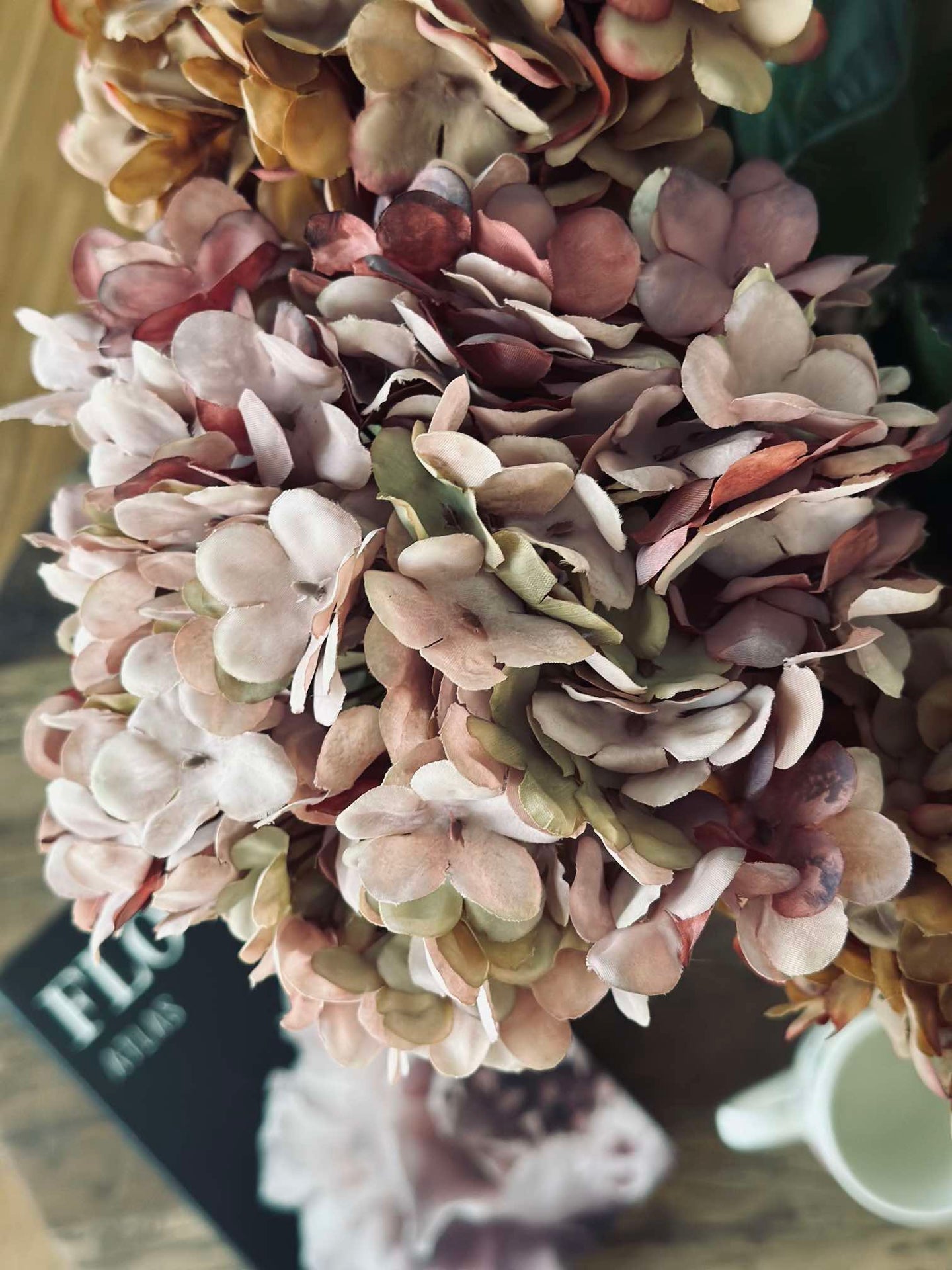 Hortensia Old Rose