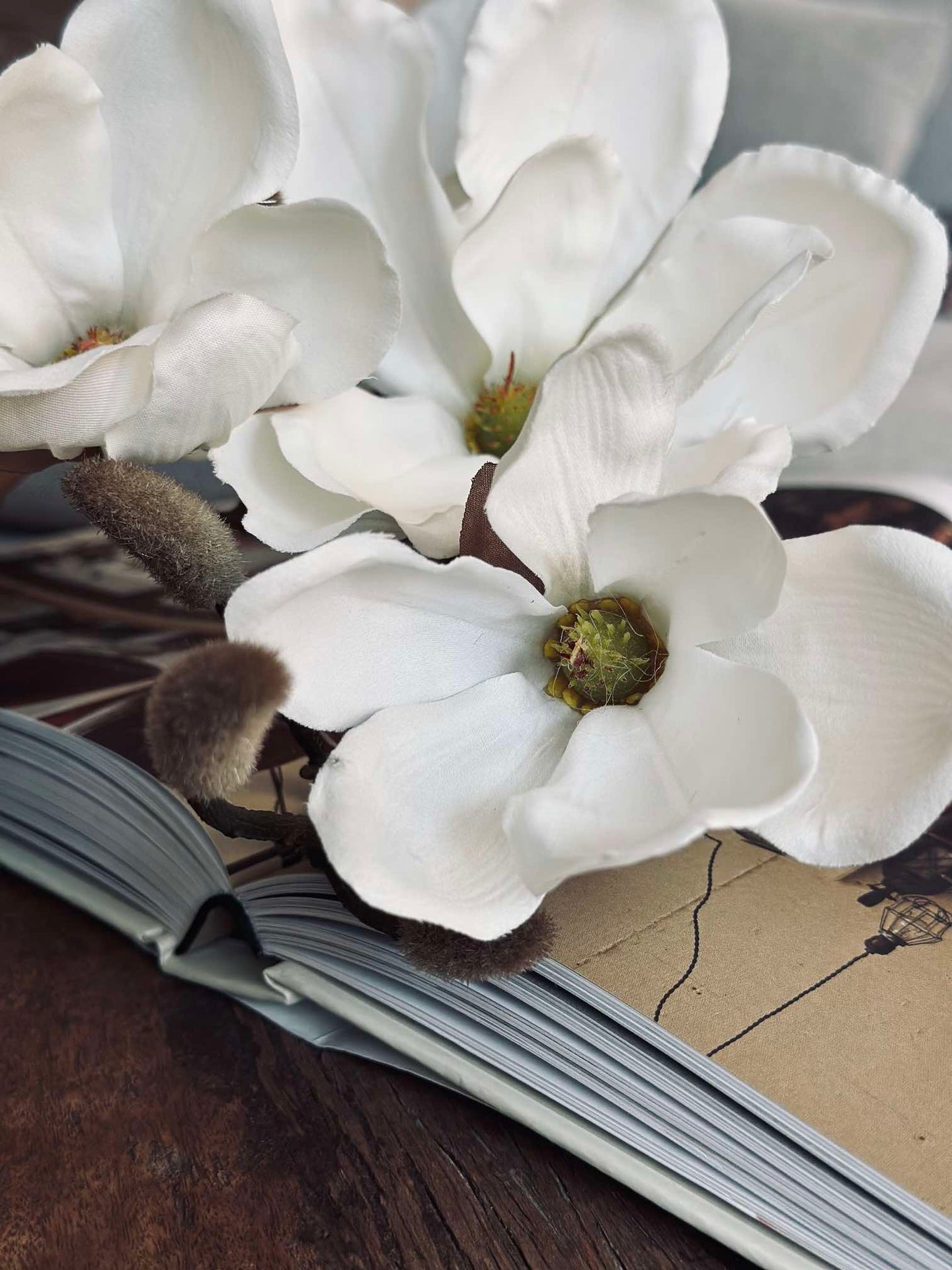 Magnoliagren - 92 cm