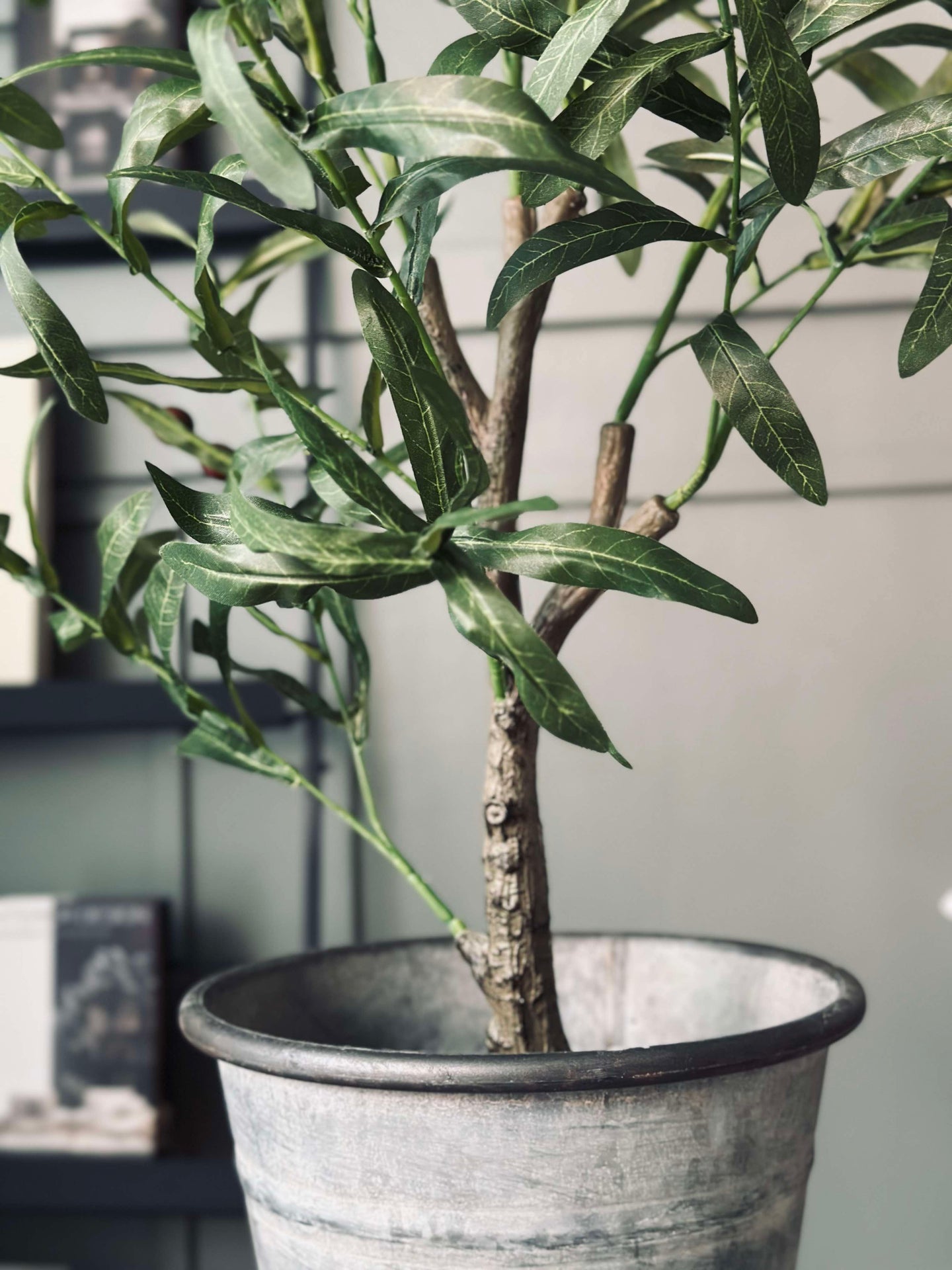 Oliventre 85 cm