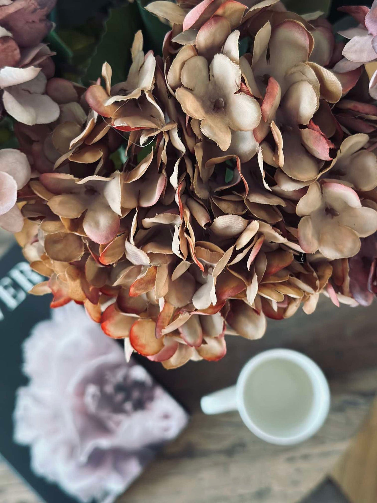Hortensia - Brente farger