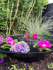 Speilbasseng - Dia 80 Black
