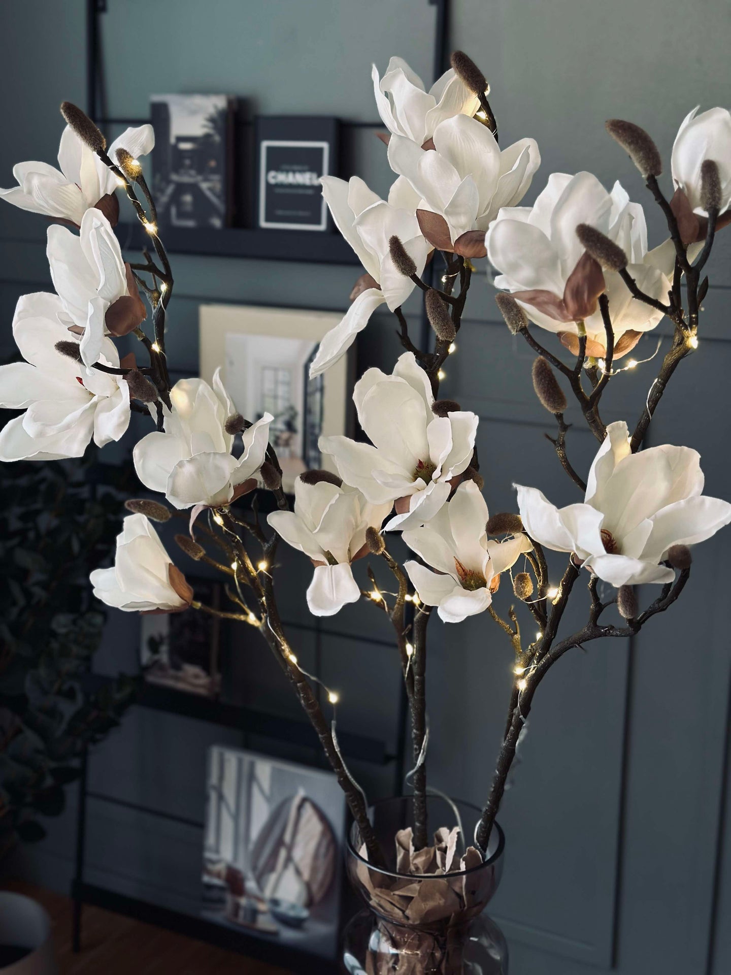 Magnoliagren med lys