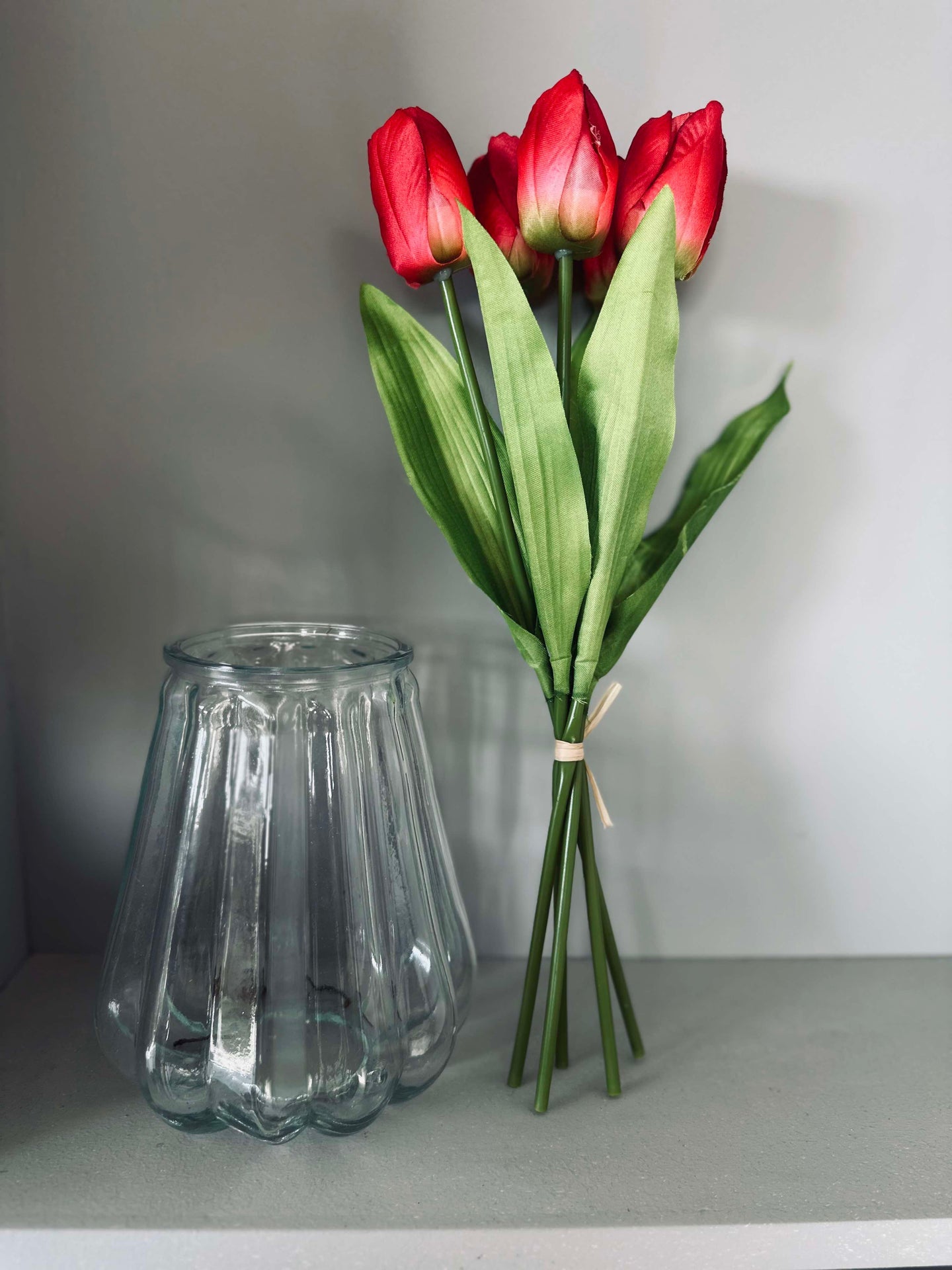 Tulipaner Bordeaux