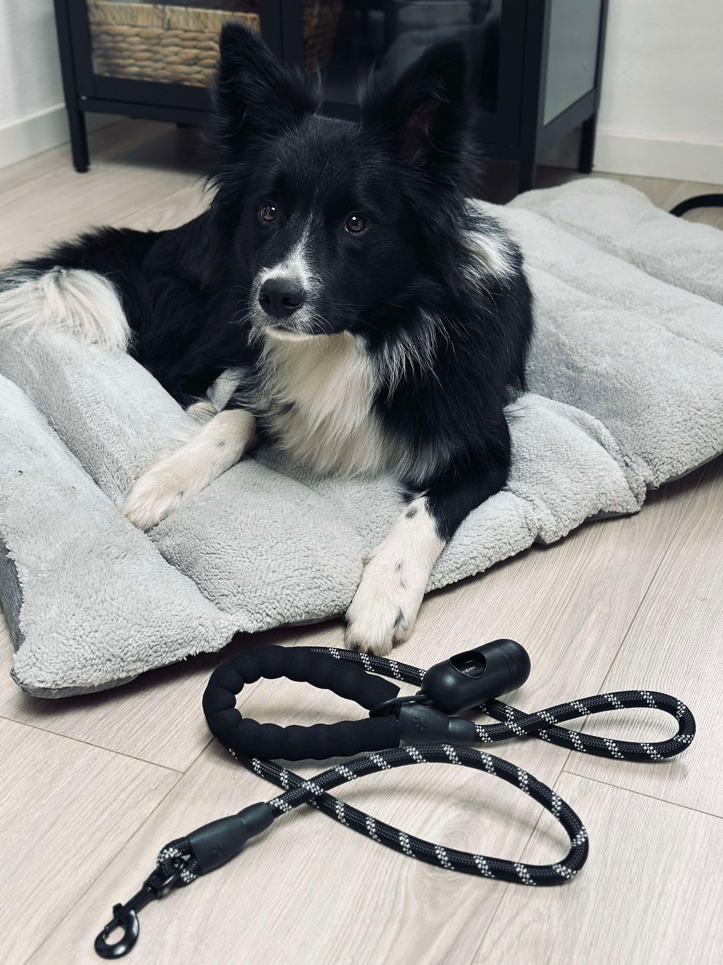 Hundesnor 1,5 meter med poseholder