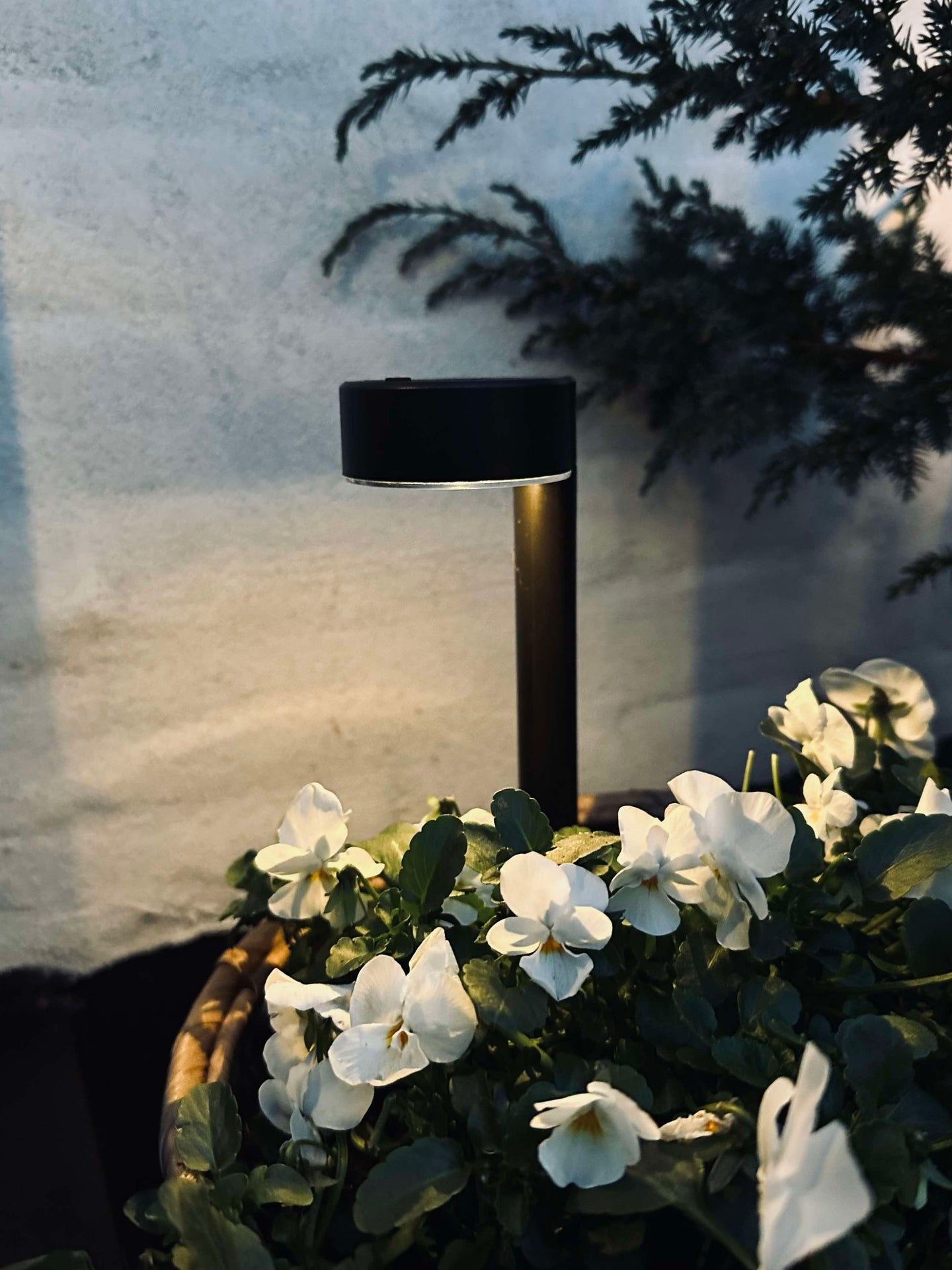 Hagelykt Nancy med solceller – Sett med 4 stk.