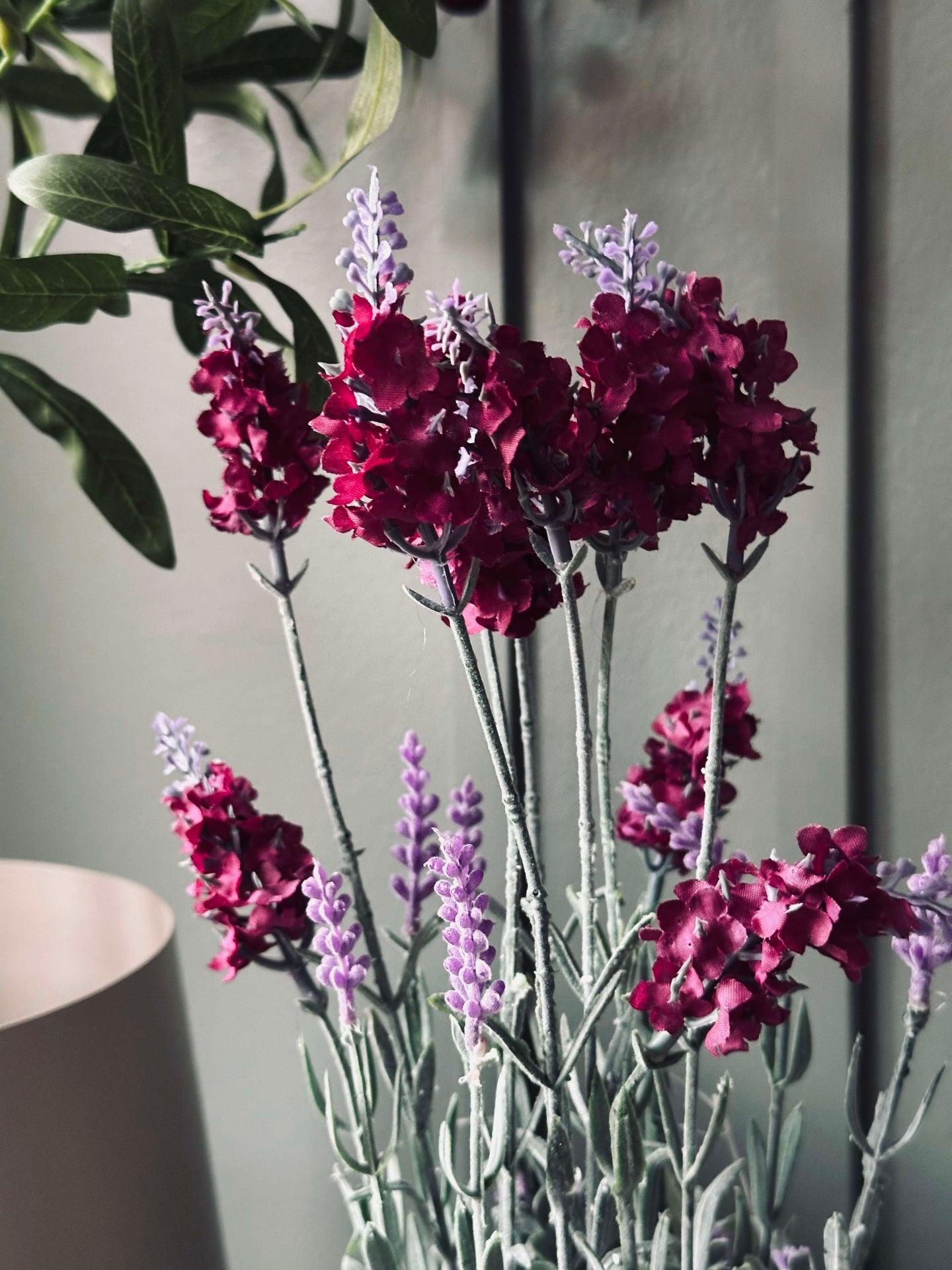 Lavendel 40cm - Hindbær