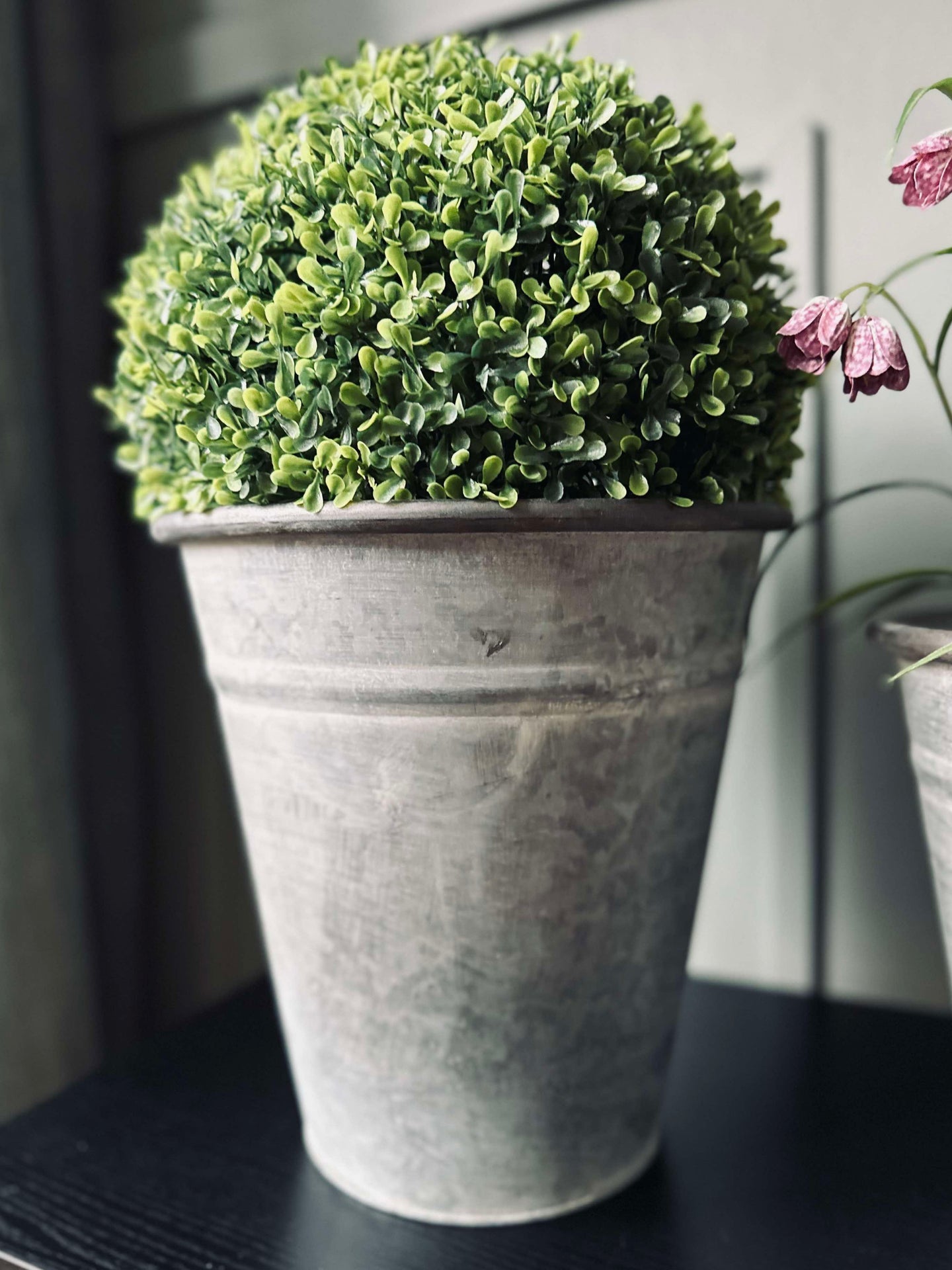 Buksbom kule 30cm