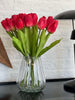 Tulipaner Bordeaux