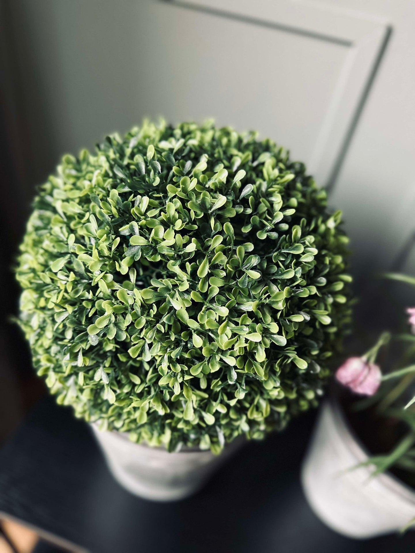 Buksbom kule 30cm