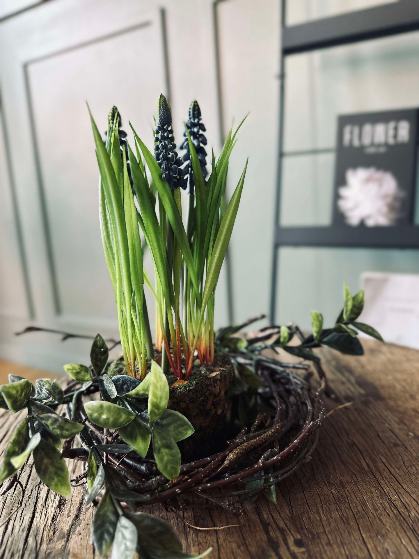 Blomst Perlehyacint