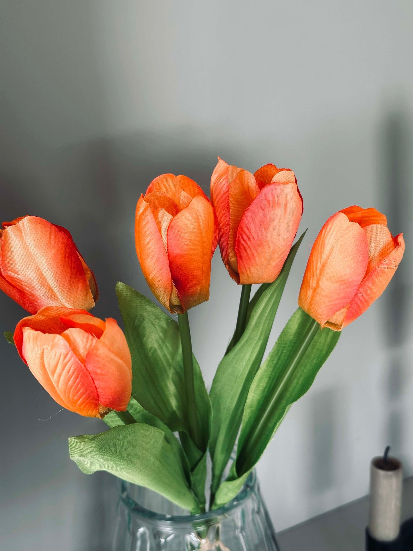 Tulipaner Oransje