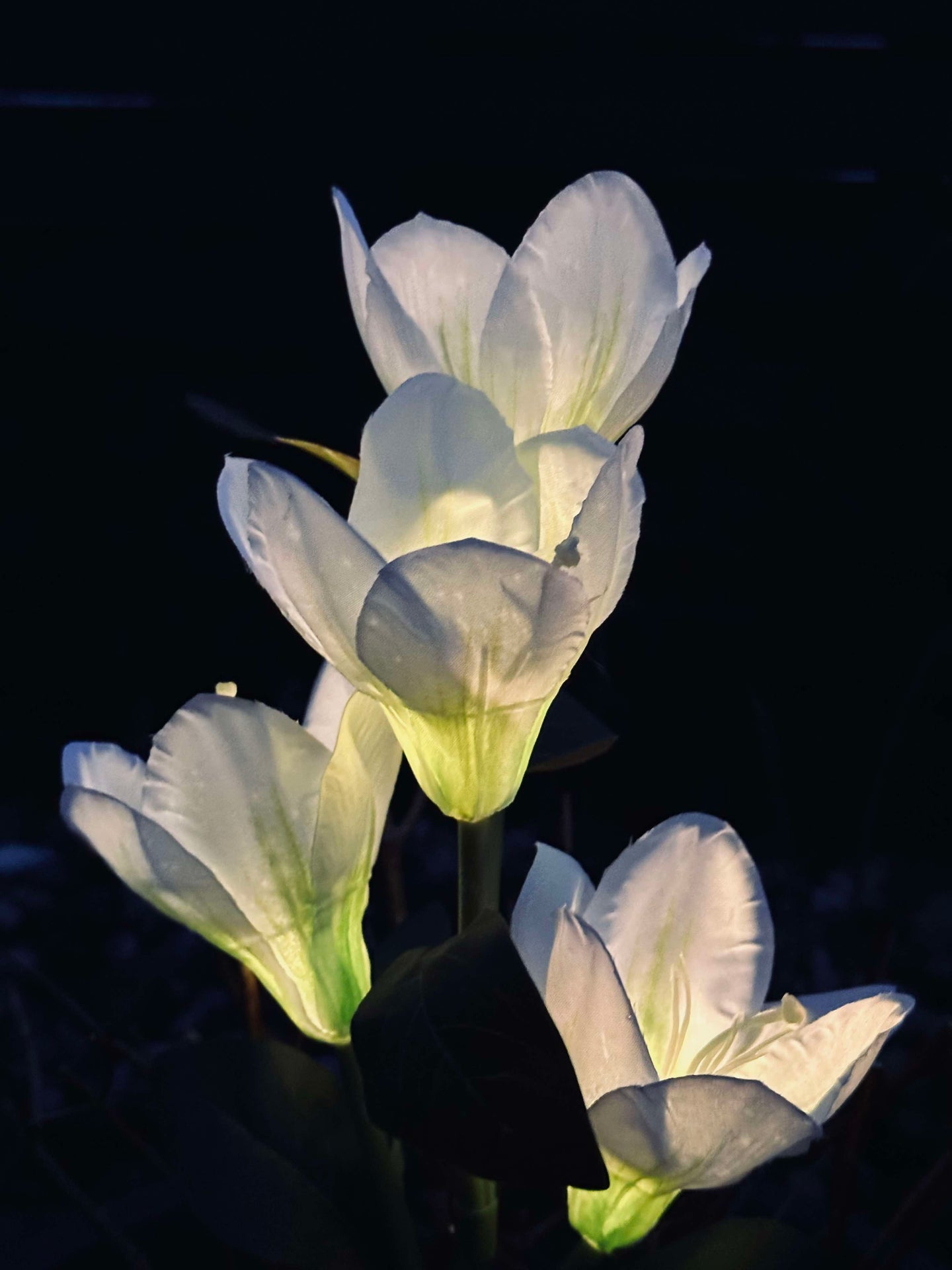 Magnolia med solceller - Hvit