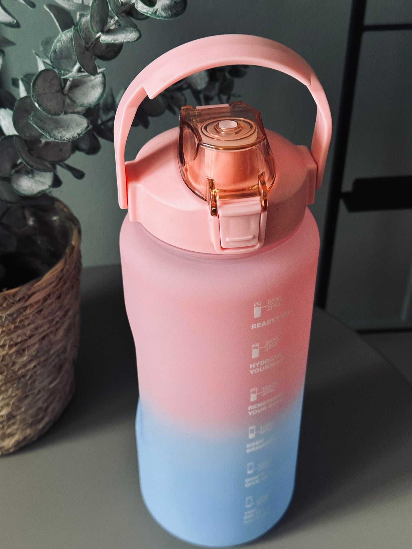 Drikkeflaske 2000 ml - Rosa / Blå