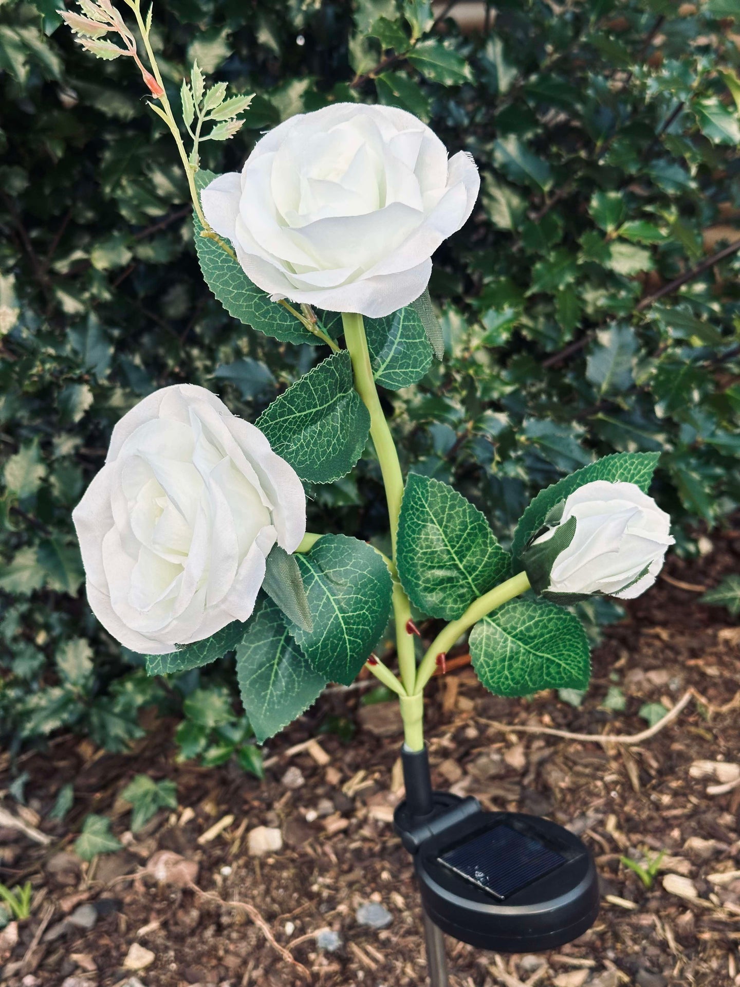 Rose med solceller - Hvit