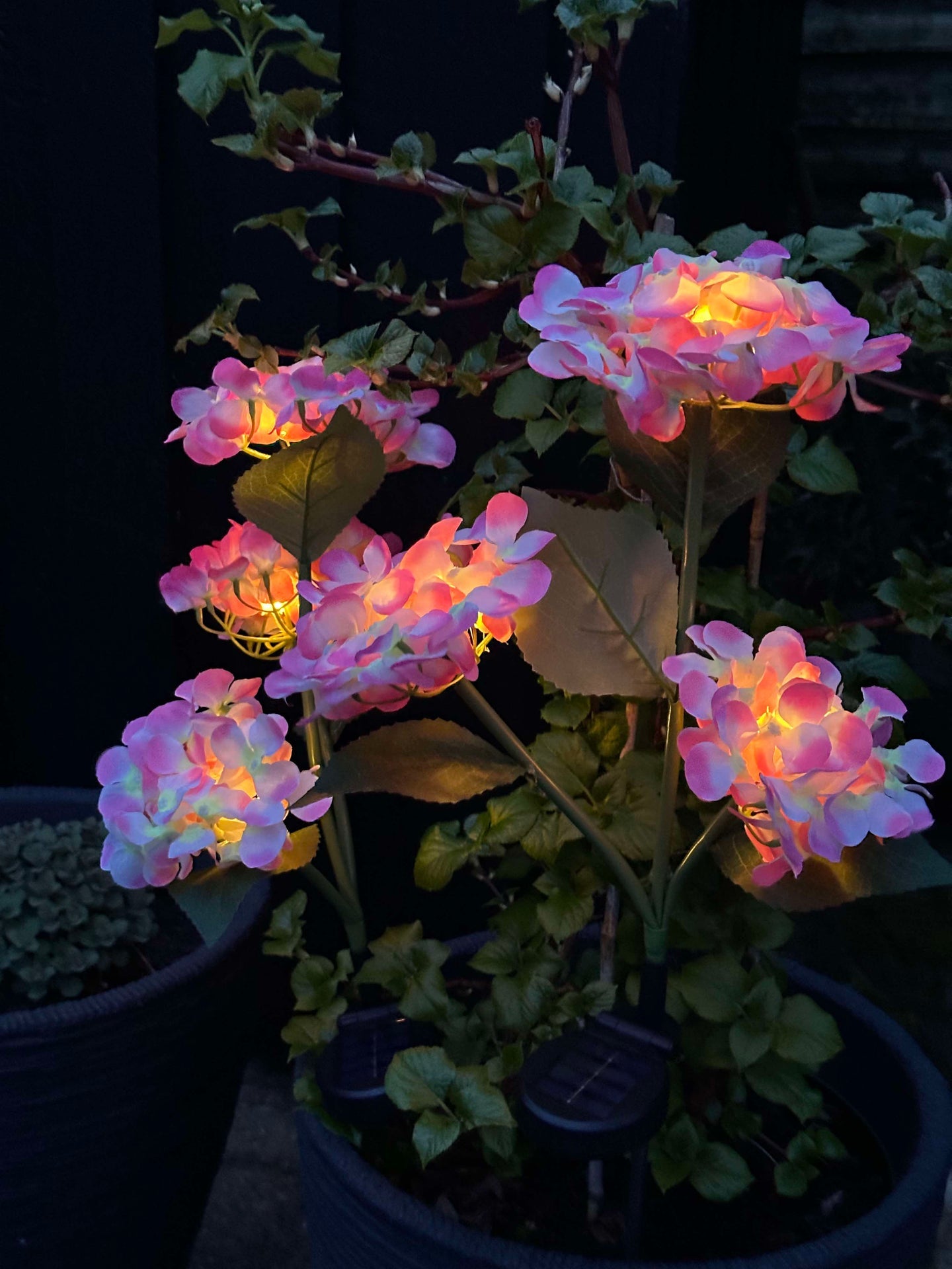 Hortensia med solceller