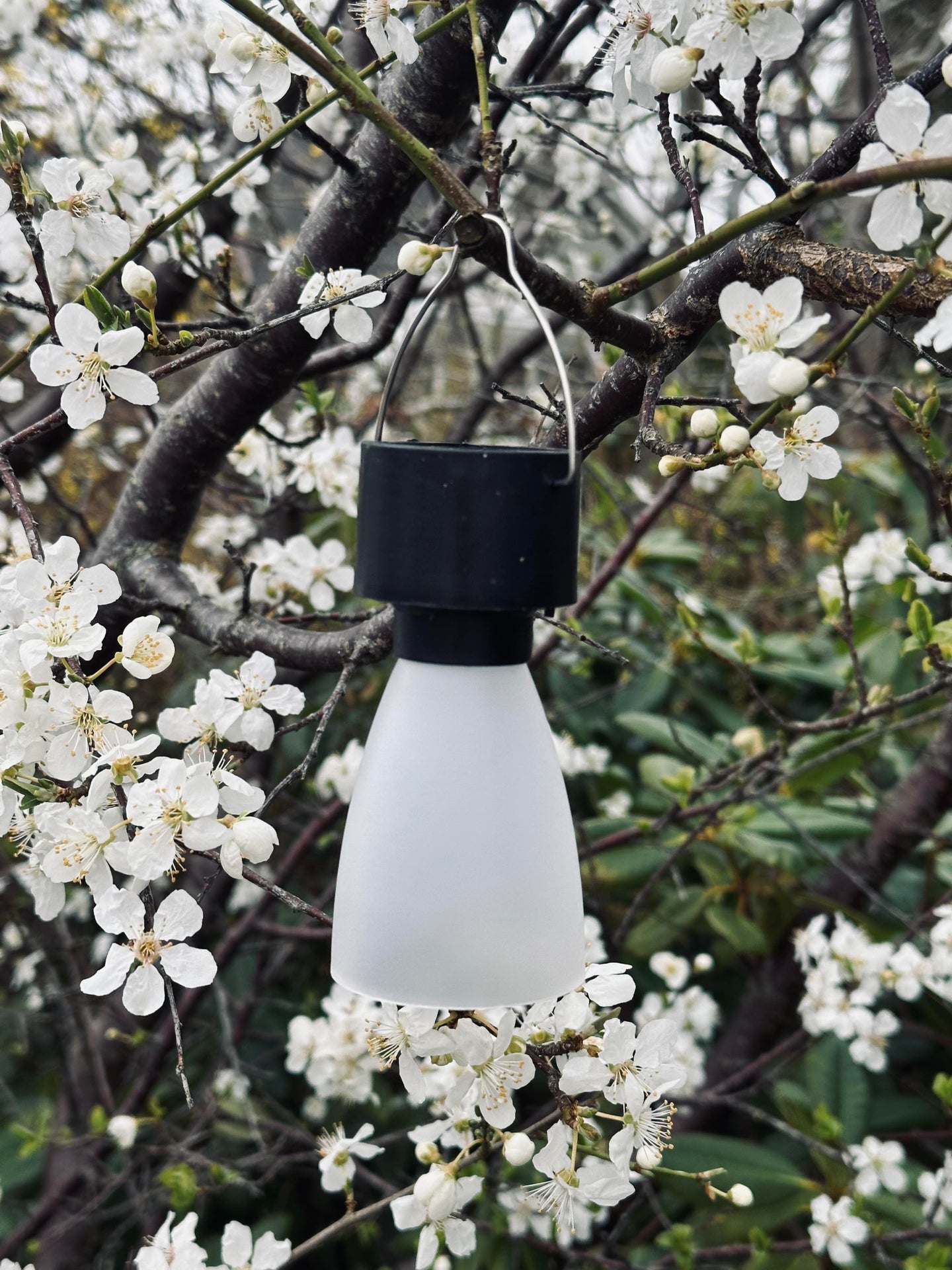 Mini lampe med solcelle