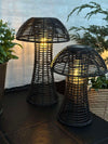 Mushroom Solar - Black Small