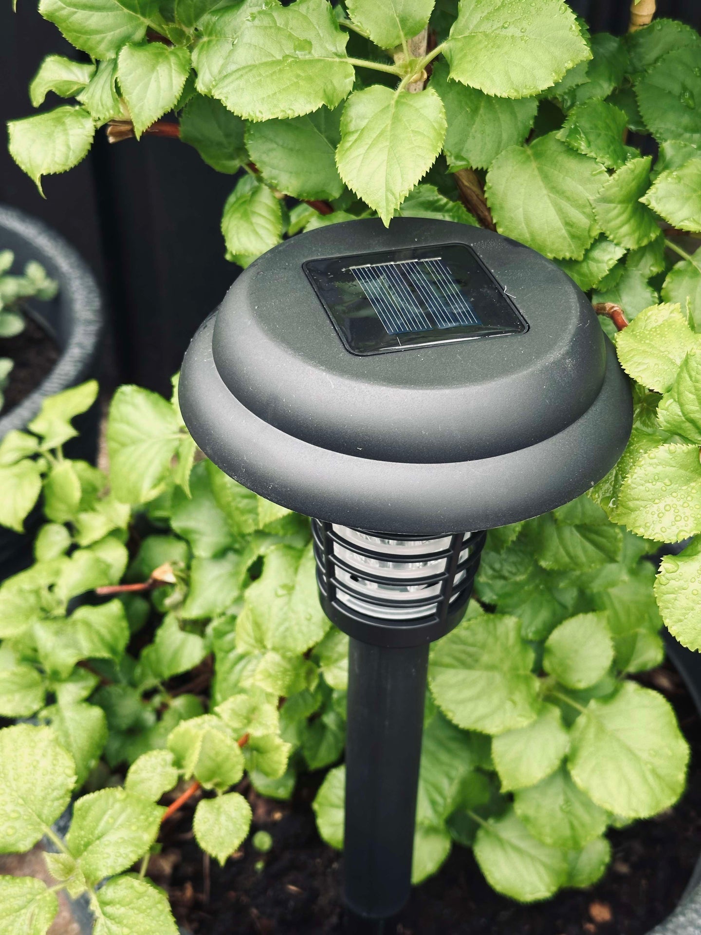 Fakkel MOSQUITO 2IN1 SOLAR