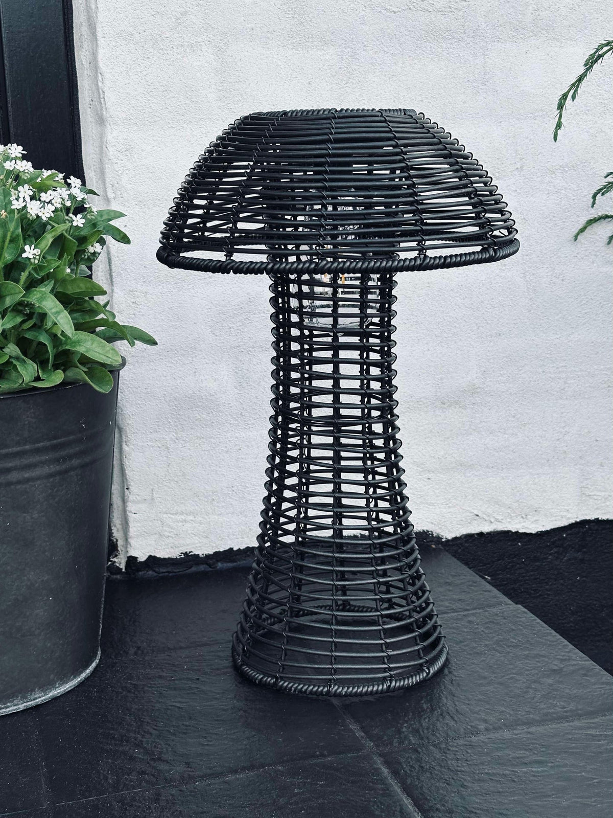 Mushroom Solar - Black Large