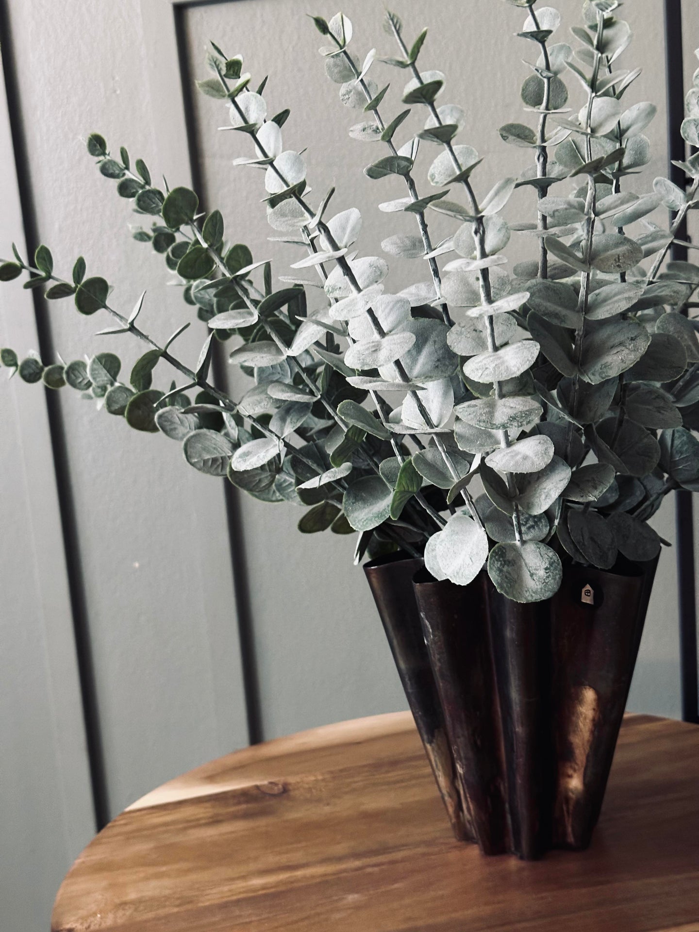 Eucalyptus på stilk