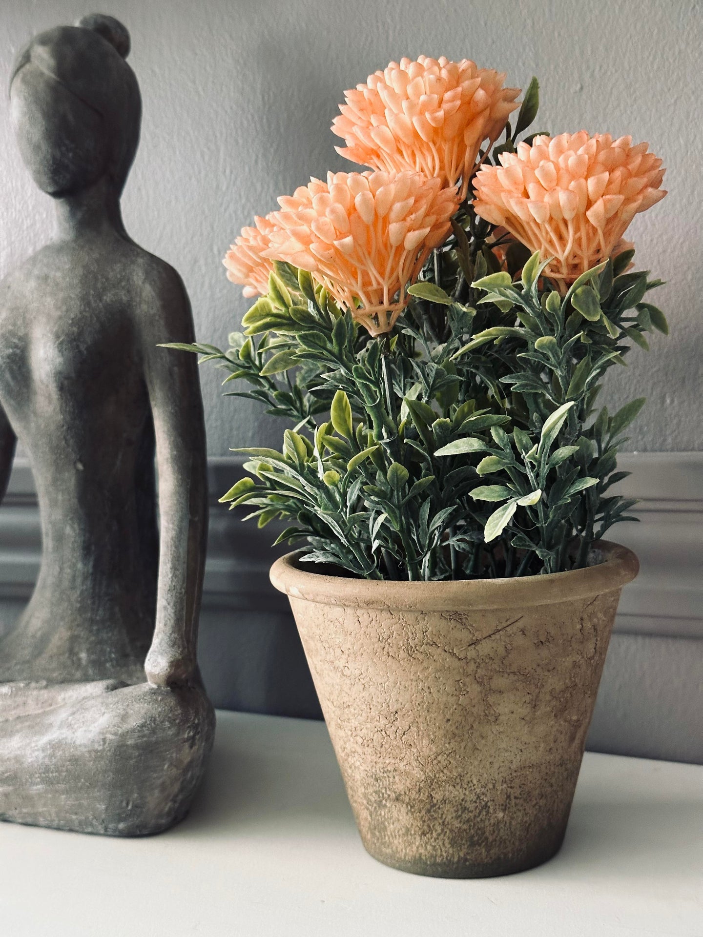 Blomst i rustikk potte - Coral