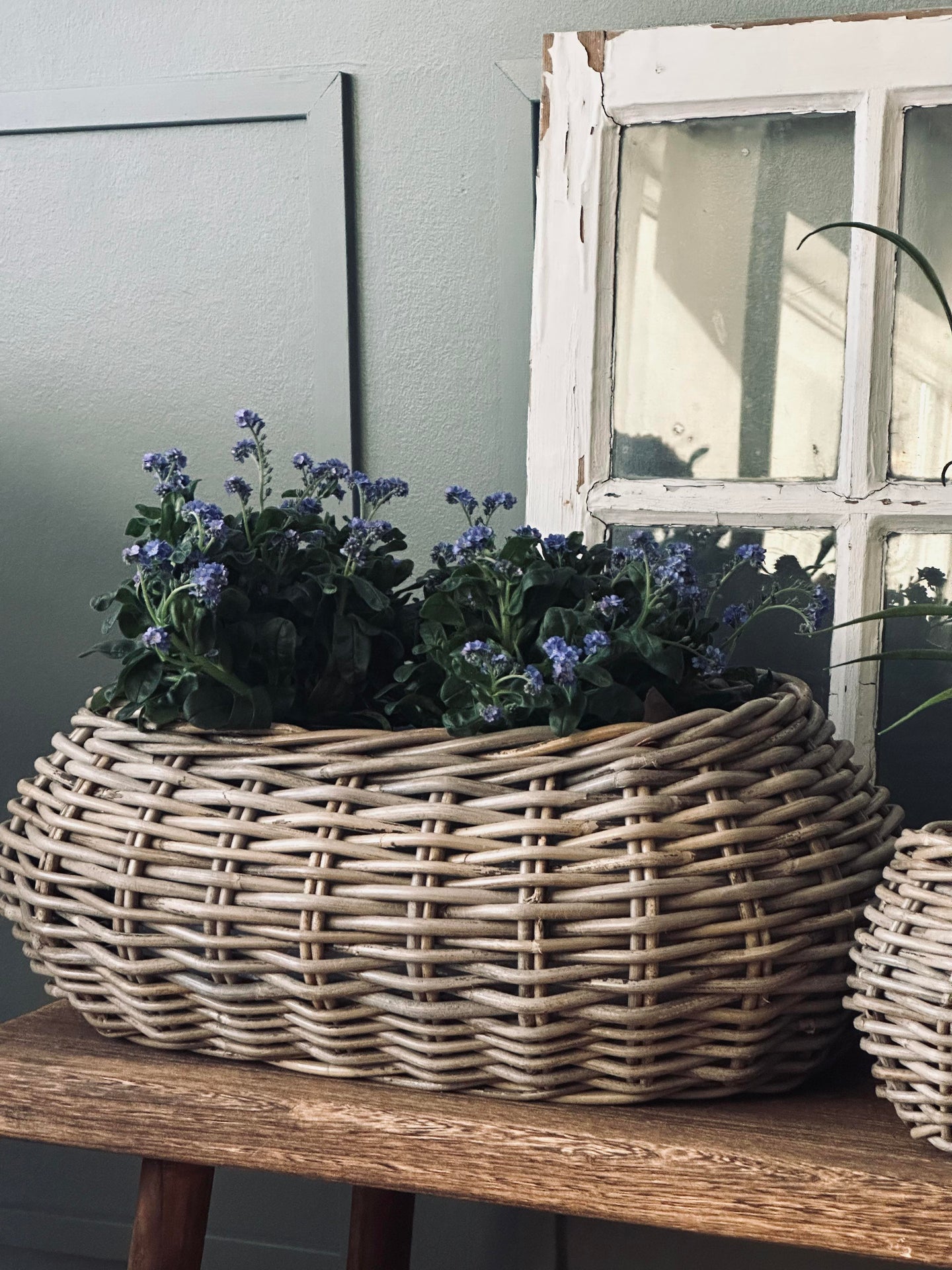 Plantekurver - Sett med 2 stk. Oval rattan