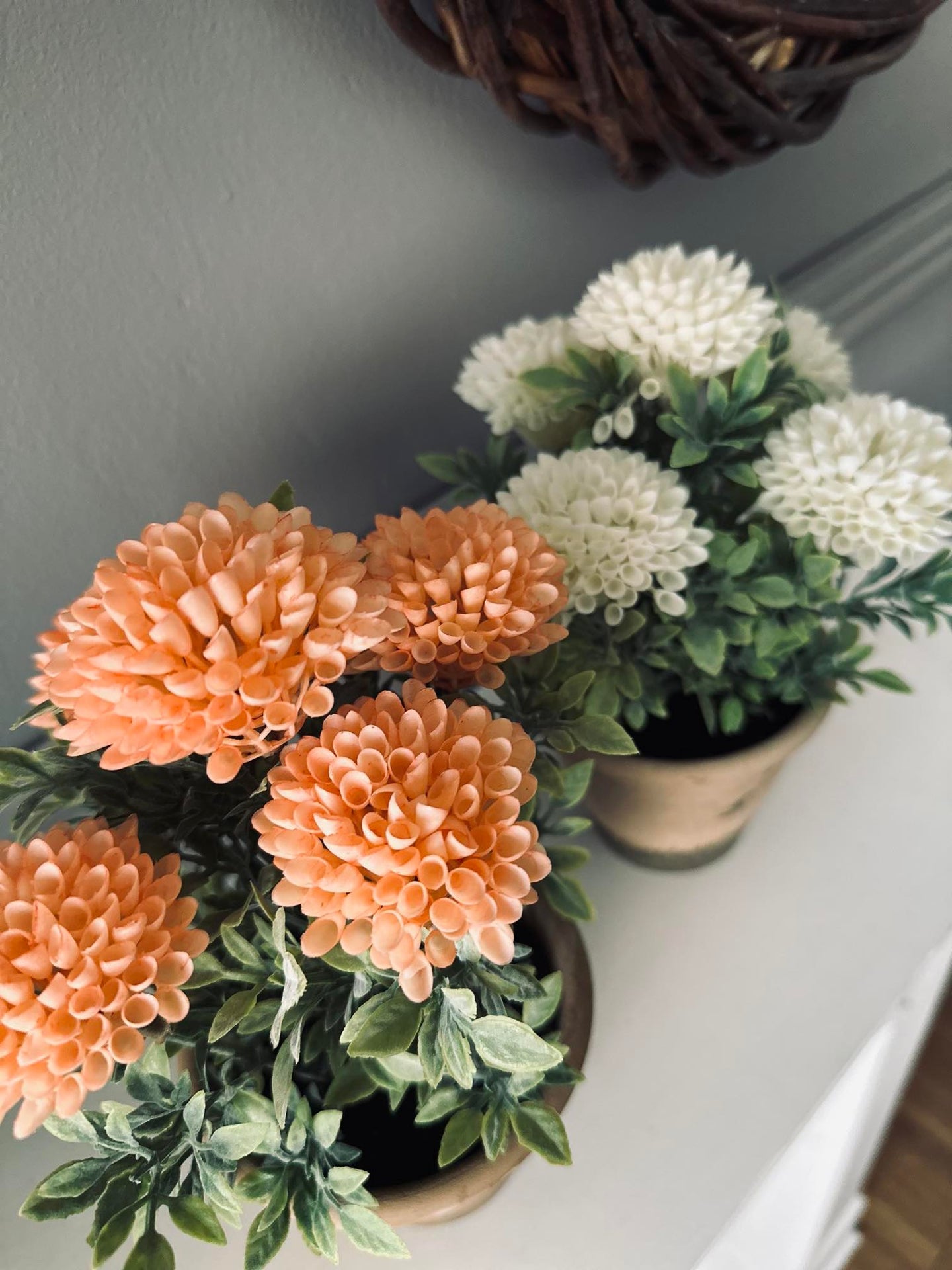 Blomst i rustikk potte - Coral