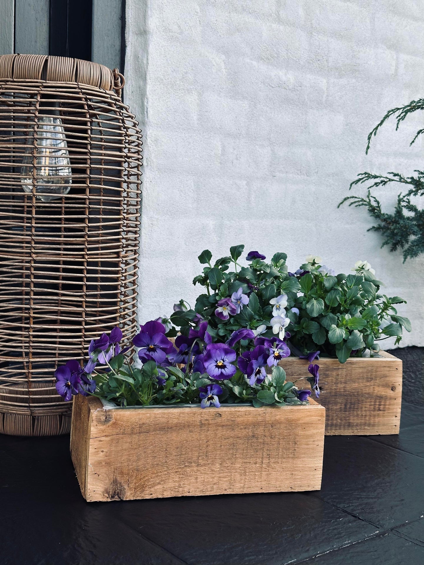 Plantekasser - Sett med 2 stk