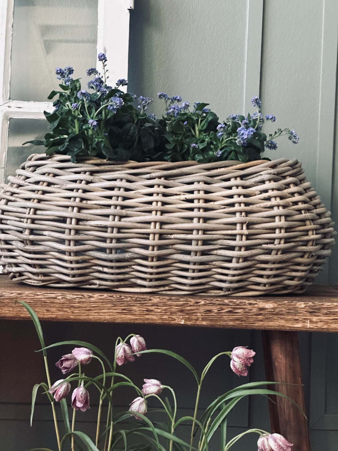 Plantekurver - Sett med 2 stk. Oval rattan