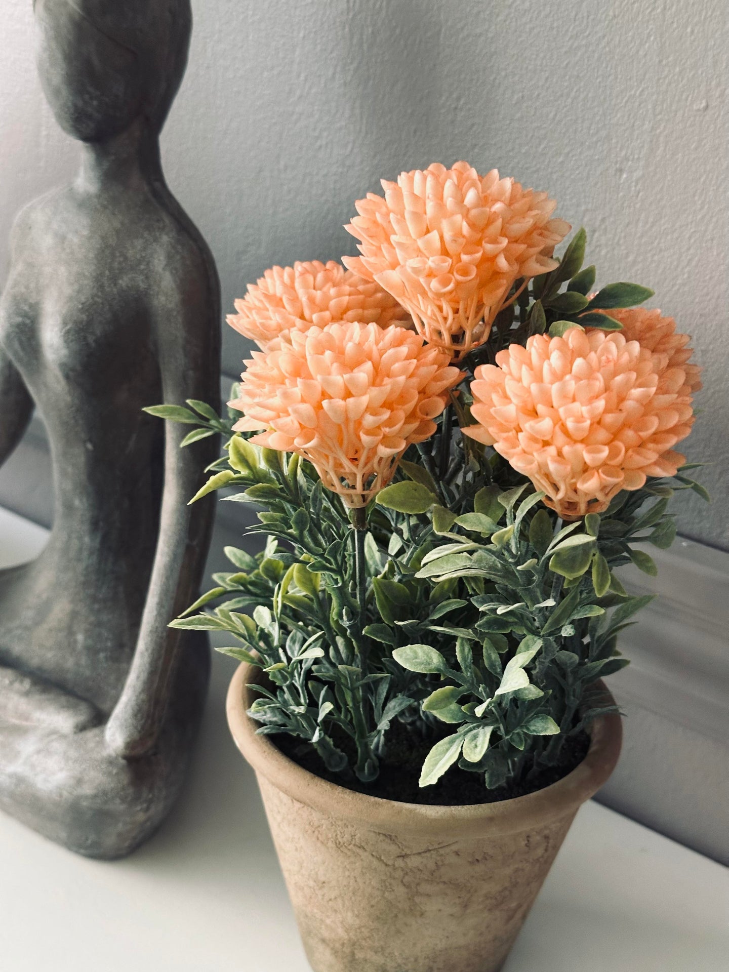 Blomst i rustikk potte - Coral