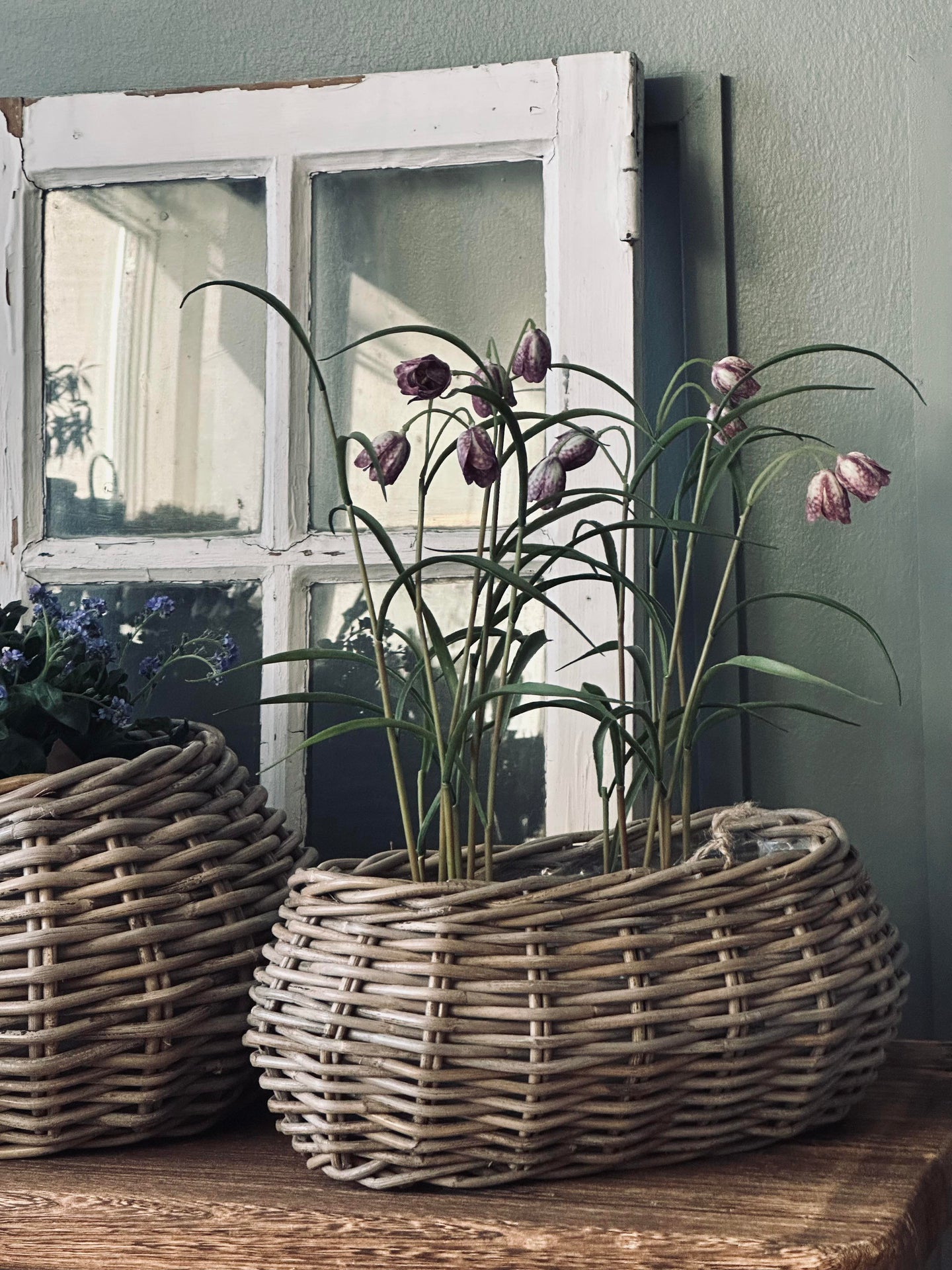 Plantekurver - Sett med 2 stk. Oval rattan
