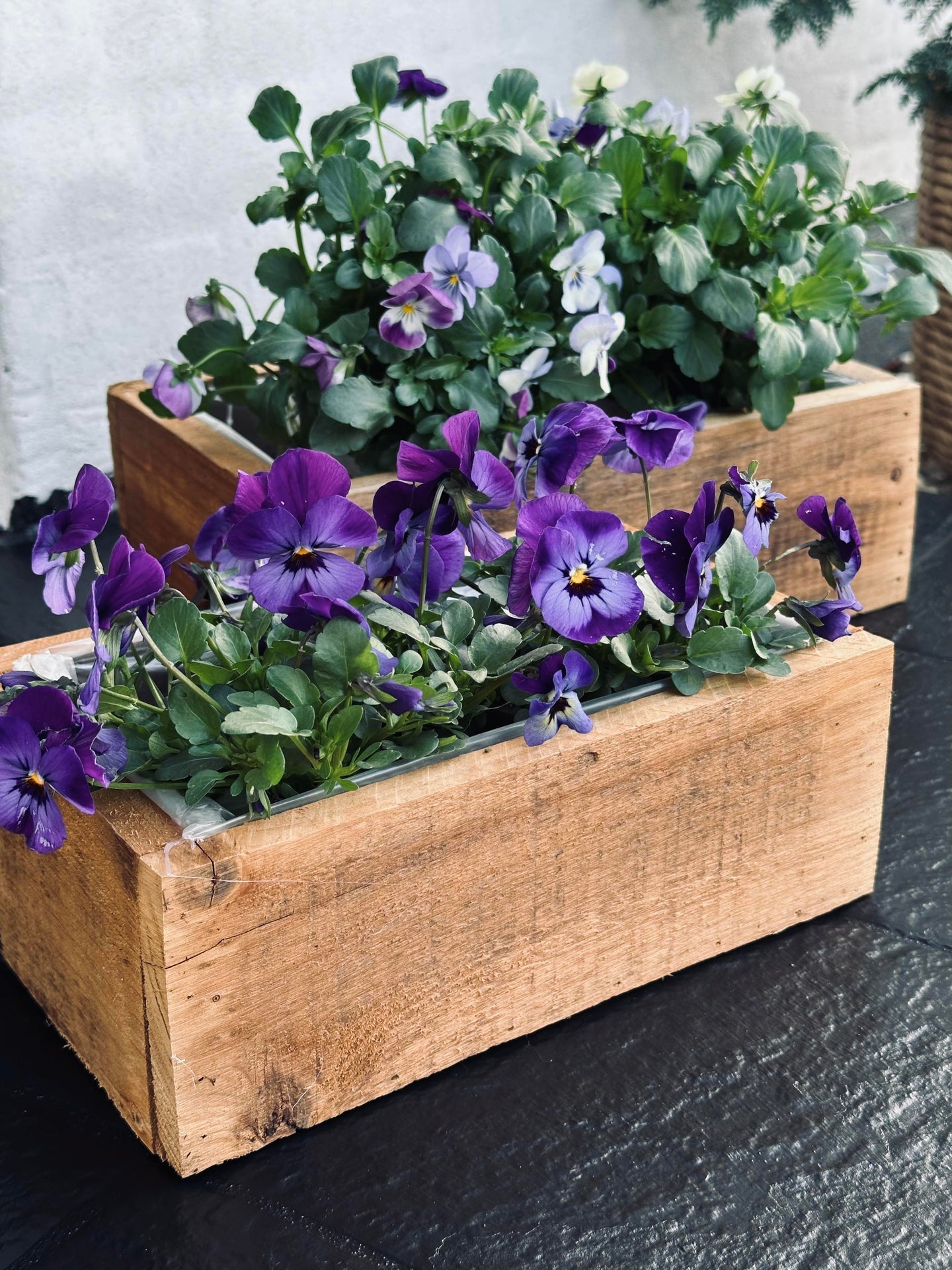 Plantekasser - Sett med 2 stk