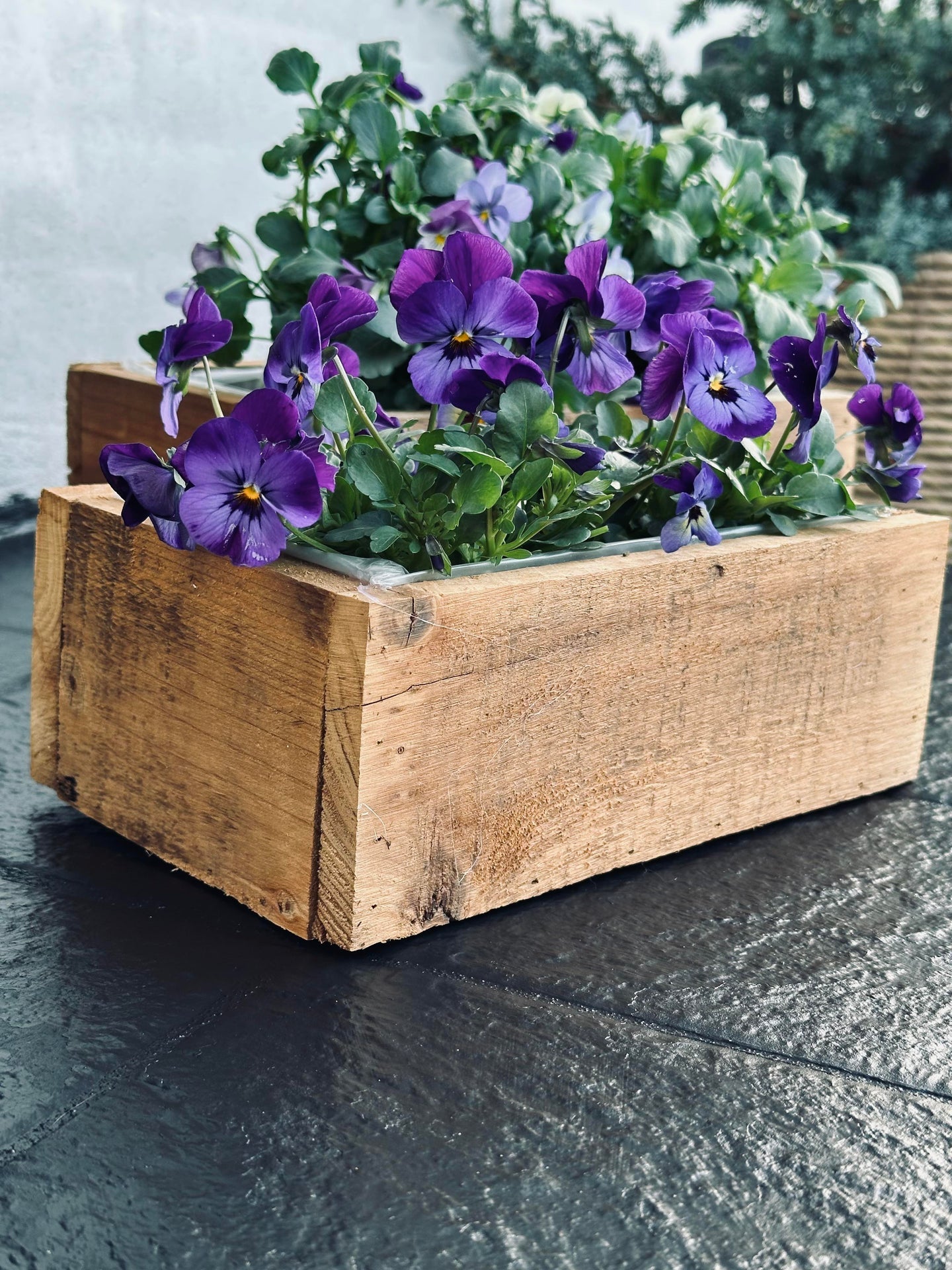 Plantekasser - Sett med 2 stk