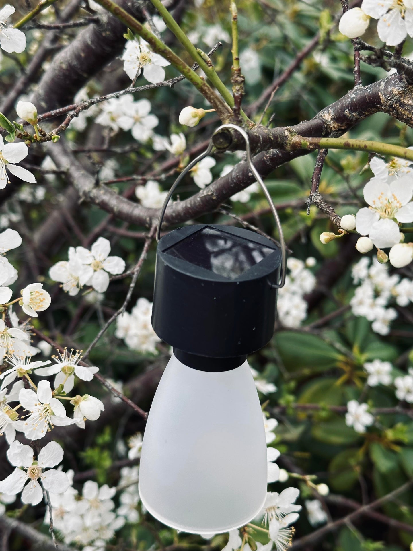 Mini lampe med solcelle