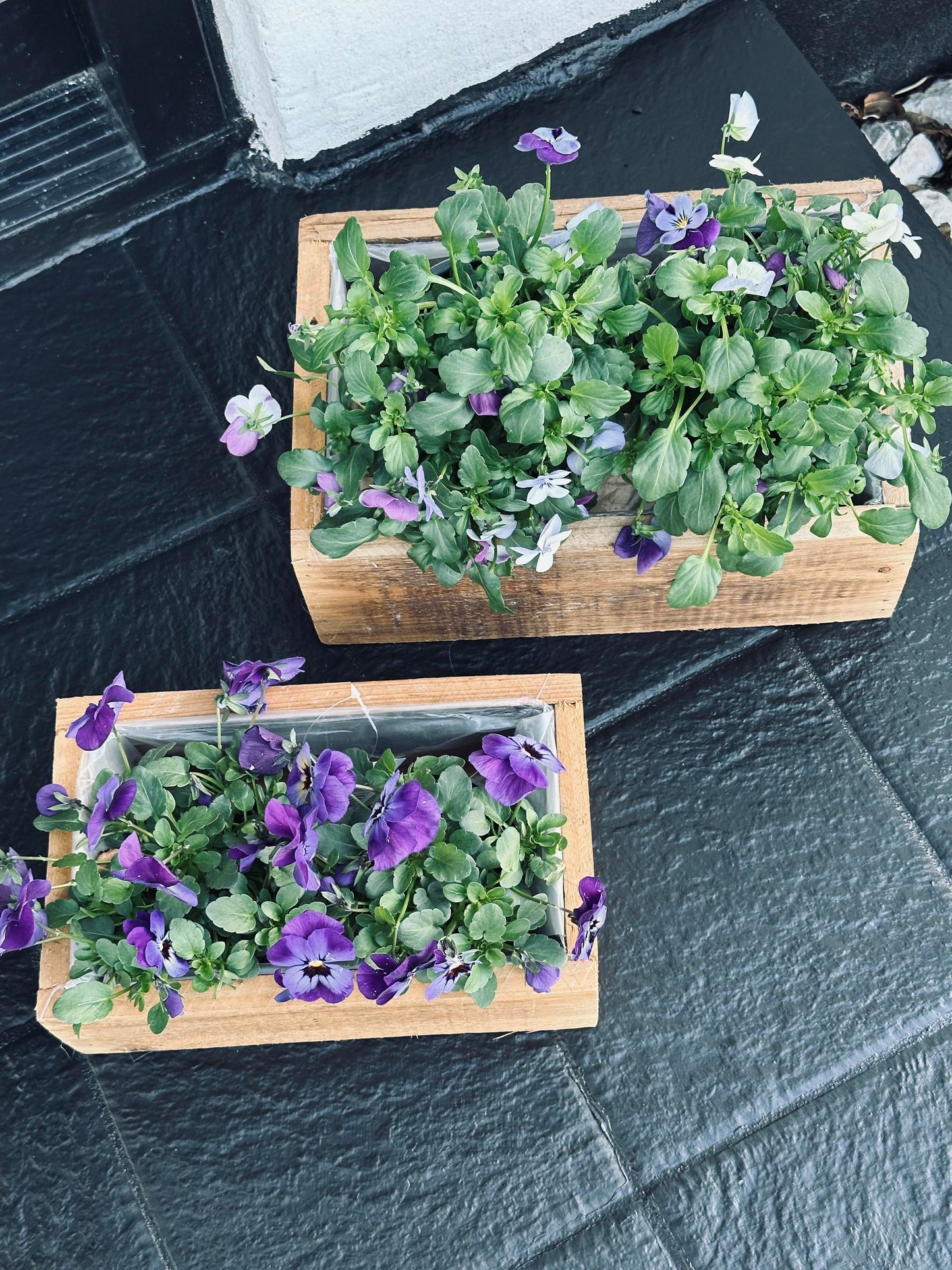 Plantekasser - Sett med 2 stk