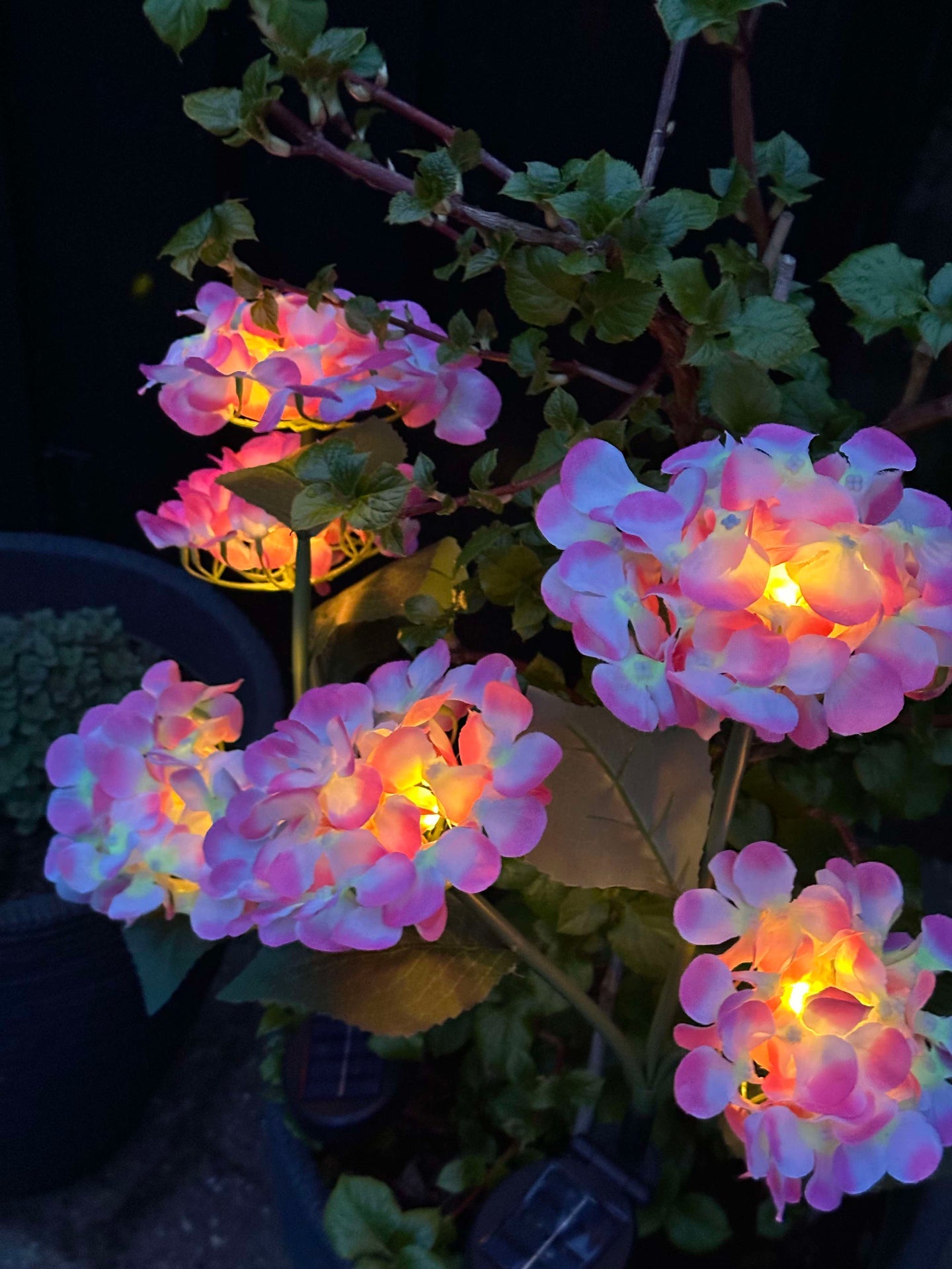 Hortensia med solceller